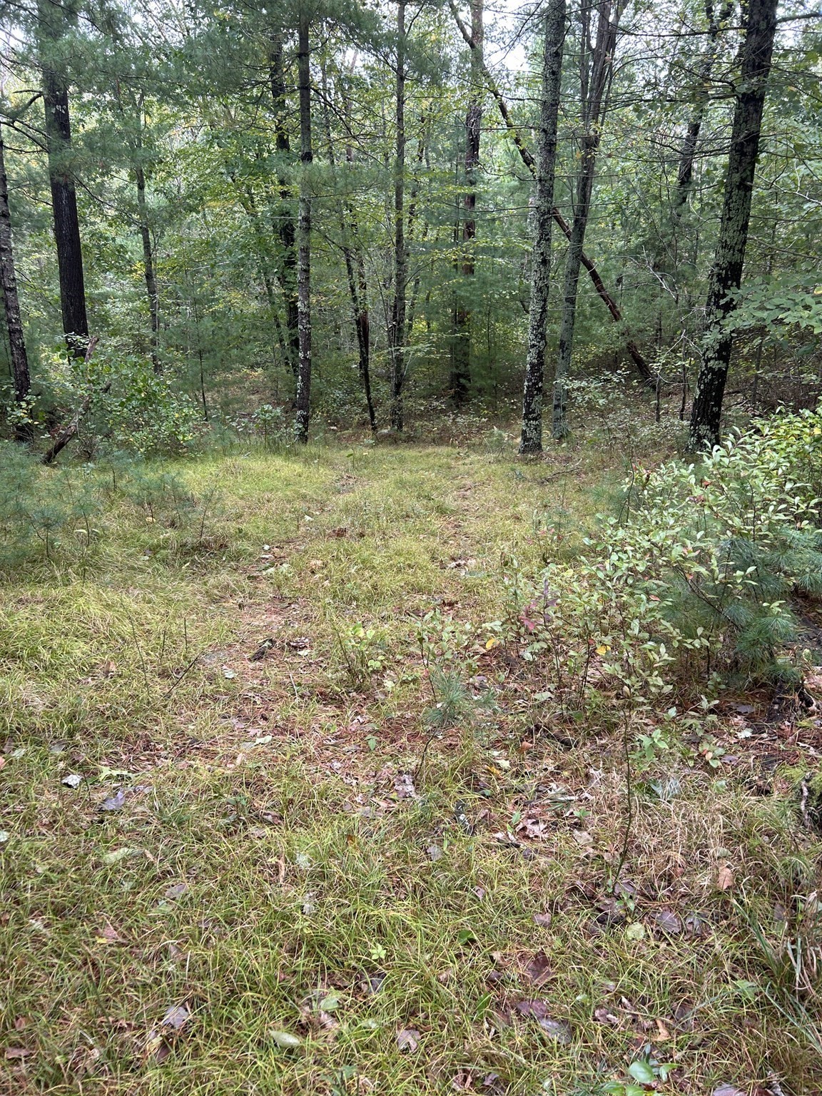 0 Thompson St (off) Property Photo 10