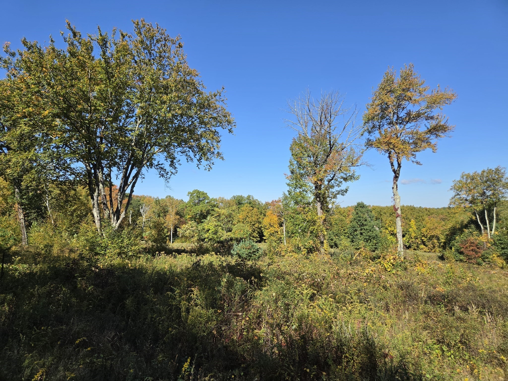 Lot 5a South Rd Property Photo 2