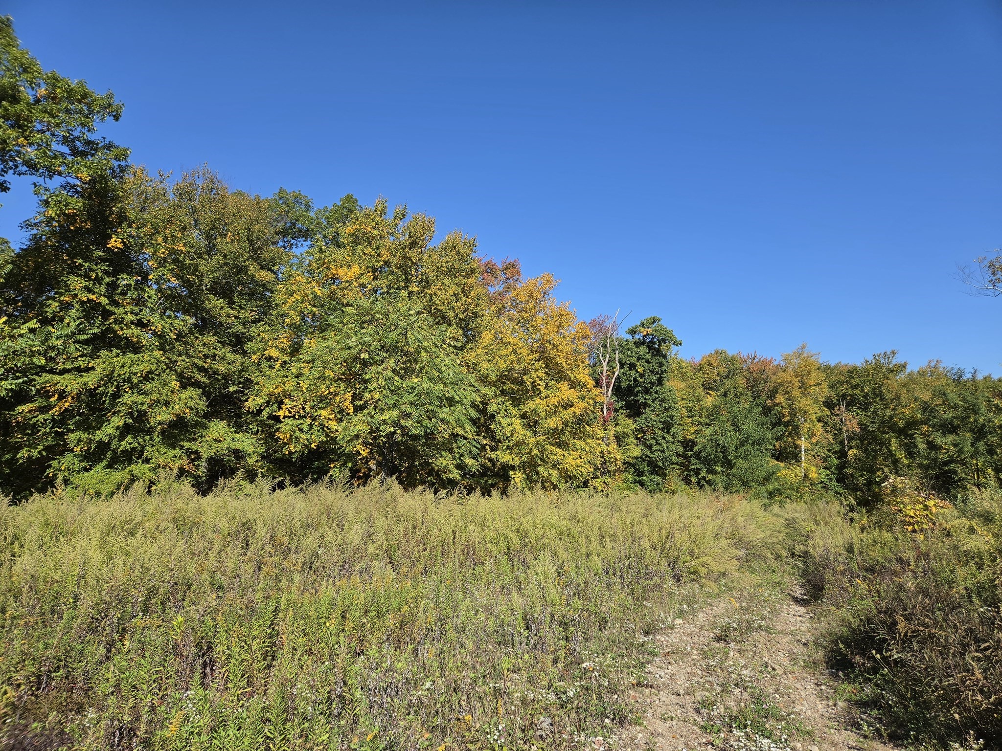 Lot 5a South Rd Property Photo 5