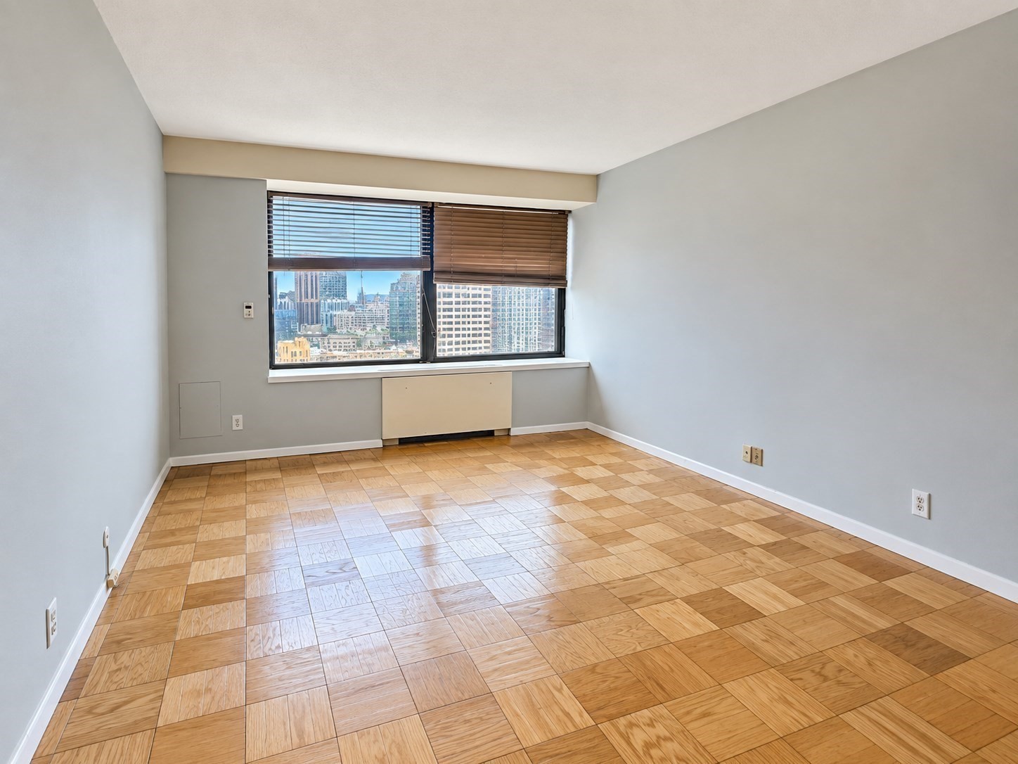65 E India Row # 29h Property Photo 5