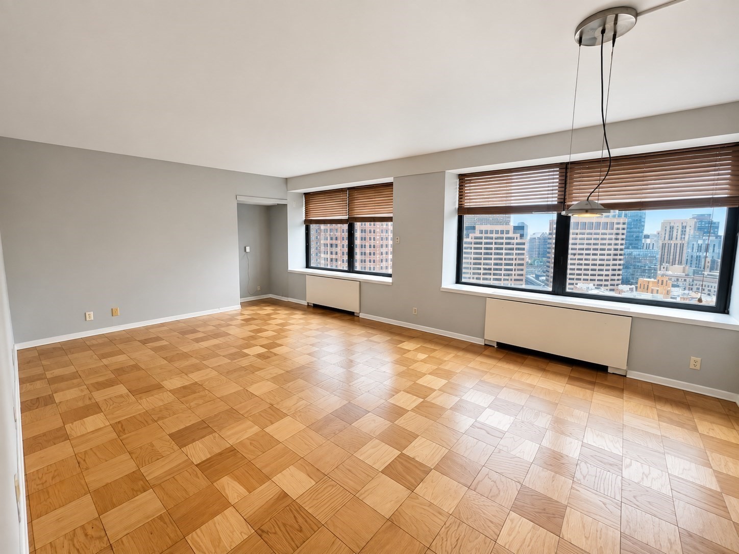 65 E India Row # 29h Property Photo 6