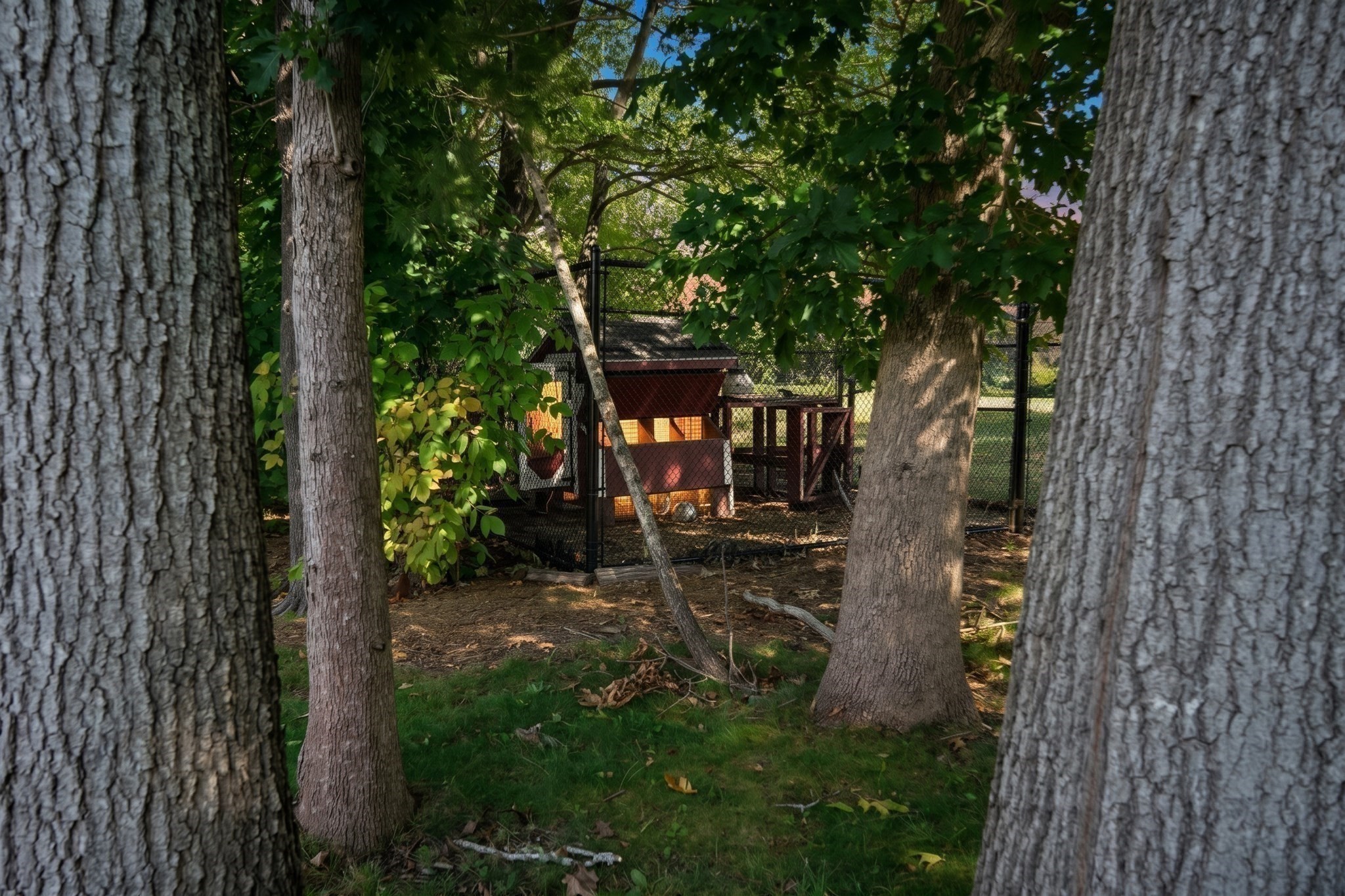 11 Riders Way Property Photo 42