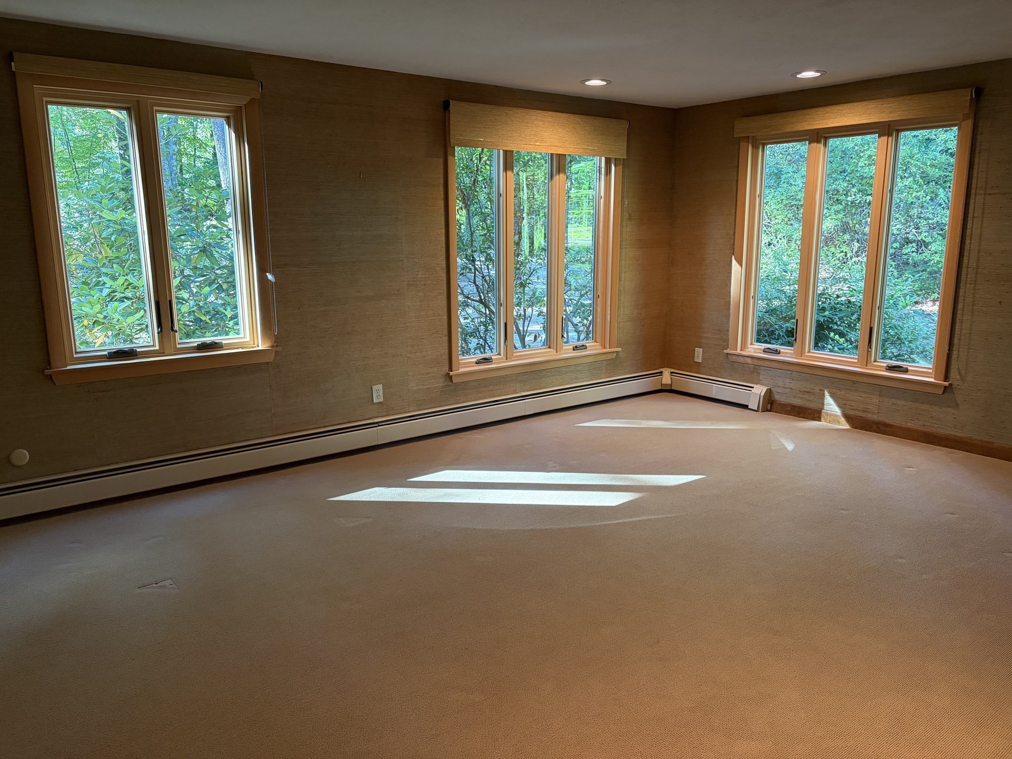 23 Forest St Property Photo 15