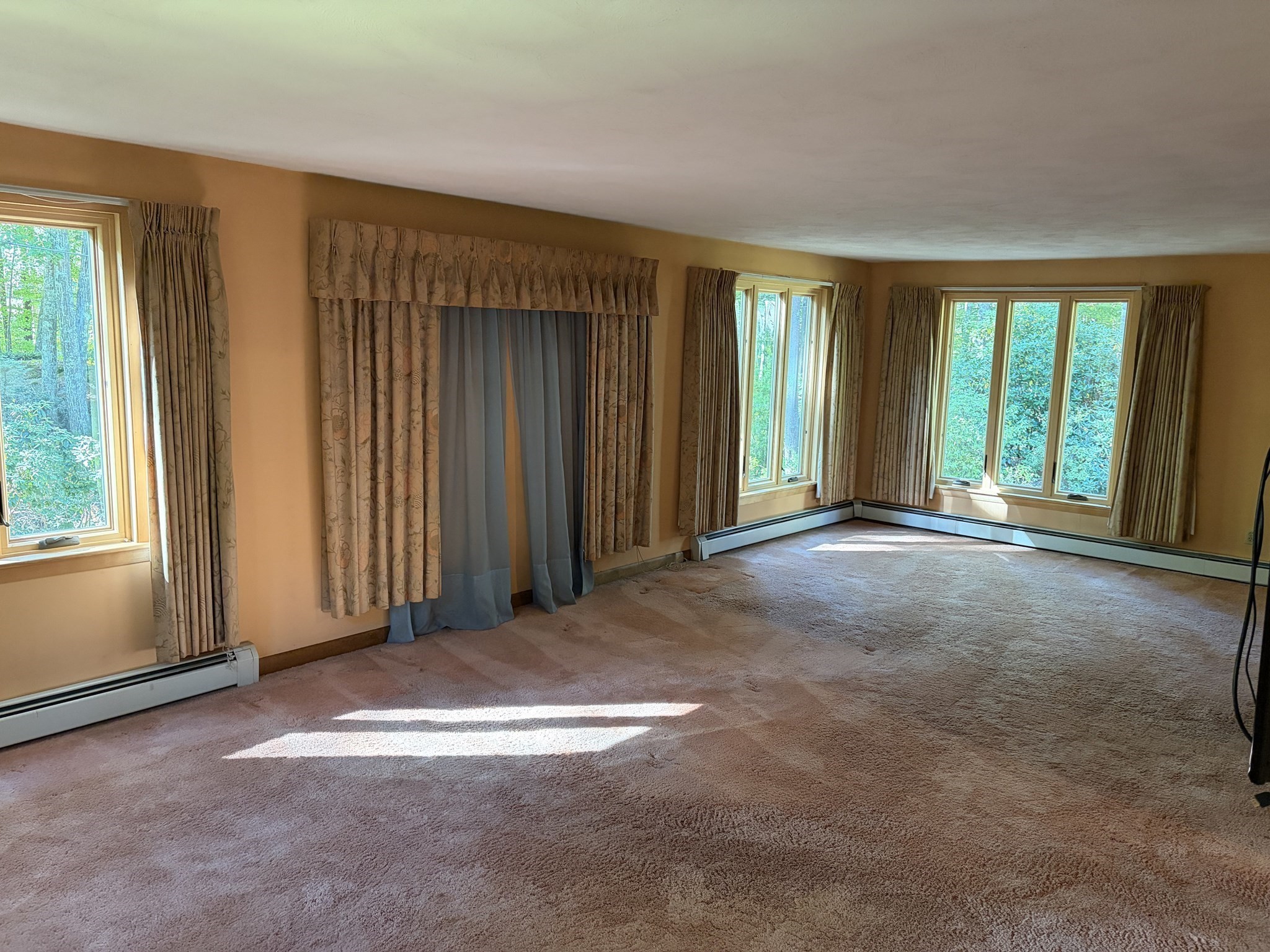 23 Forest St Property Photo 22