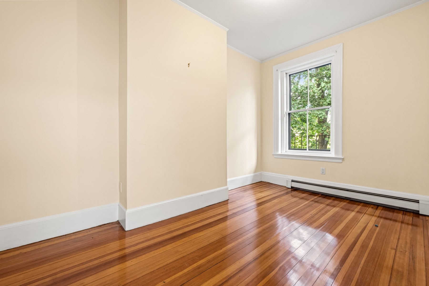 18 Hereford St Property Photo 23