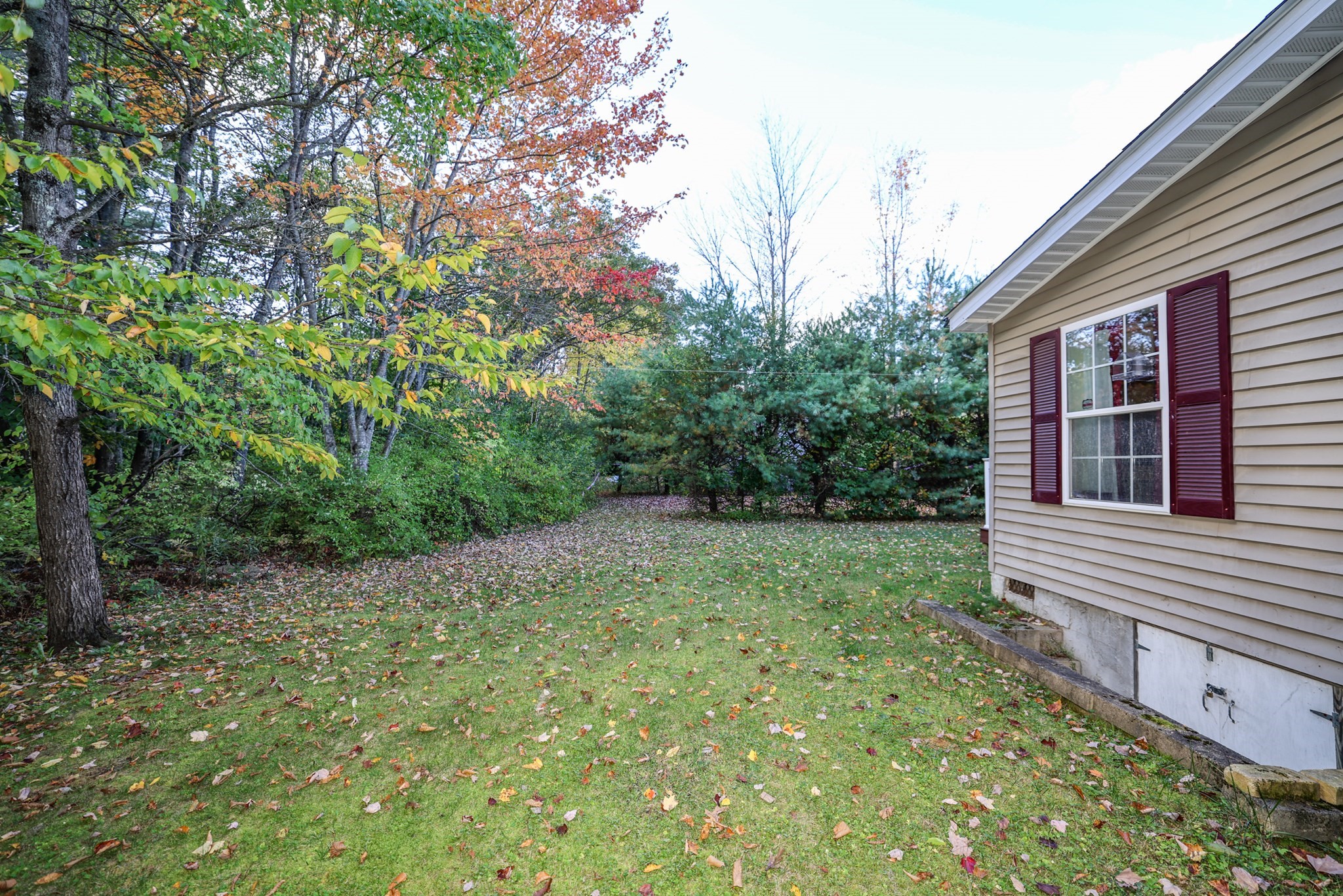 31 Magnolia Ln Property Photo 22