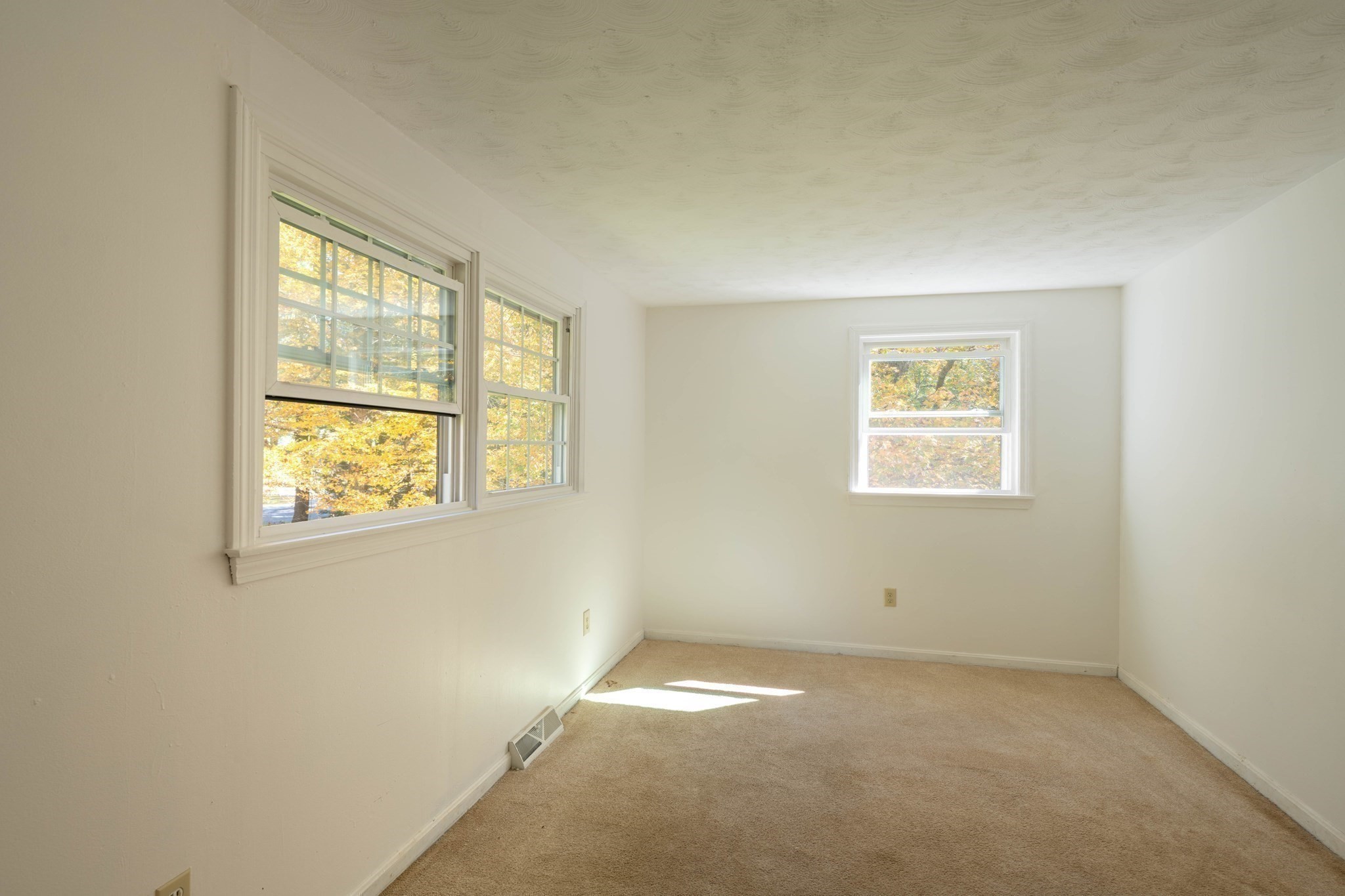 441 Dingle Rd Property Photo 18