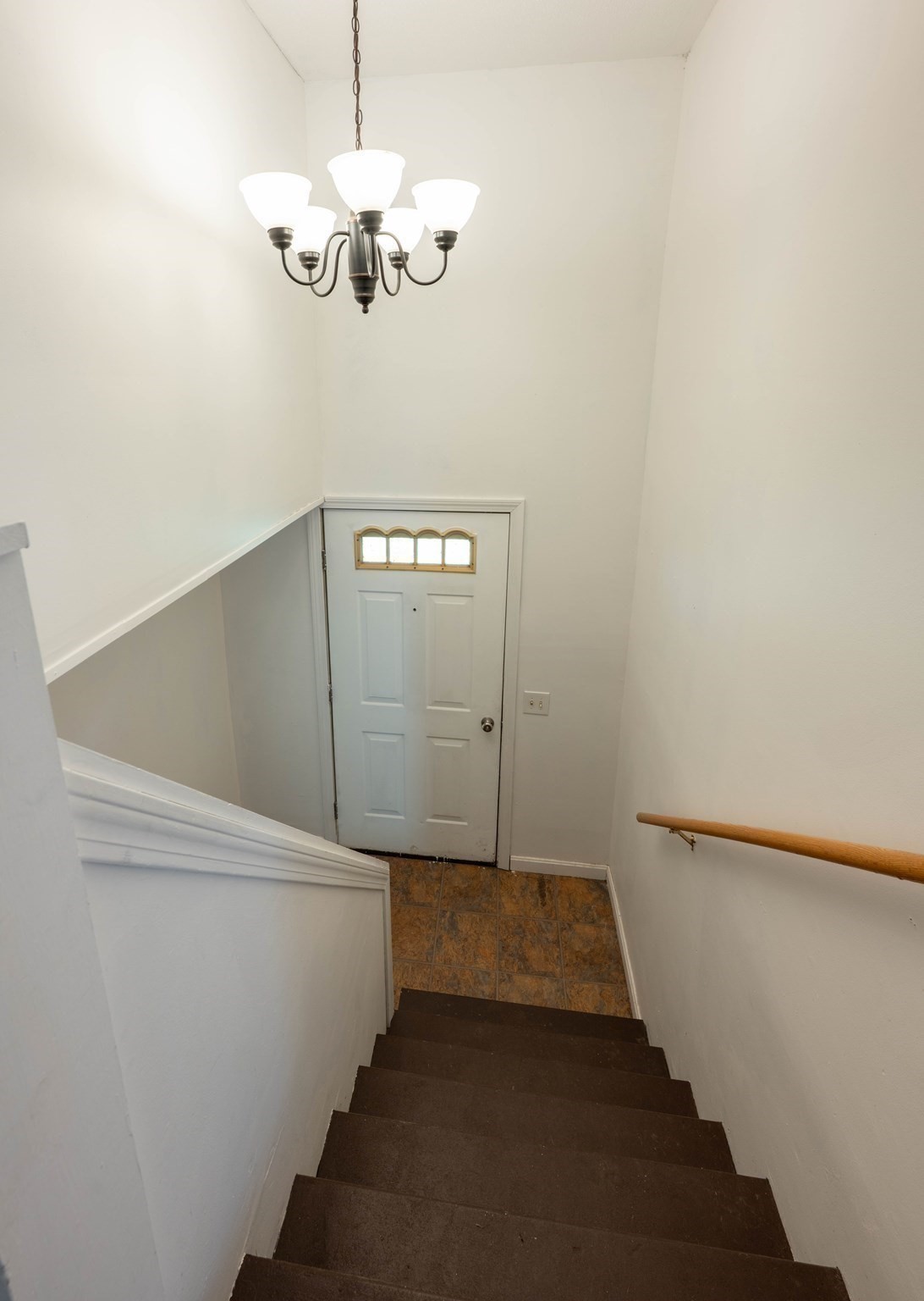 441 Dingle Rd Property Photo 21