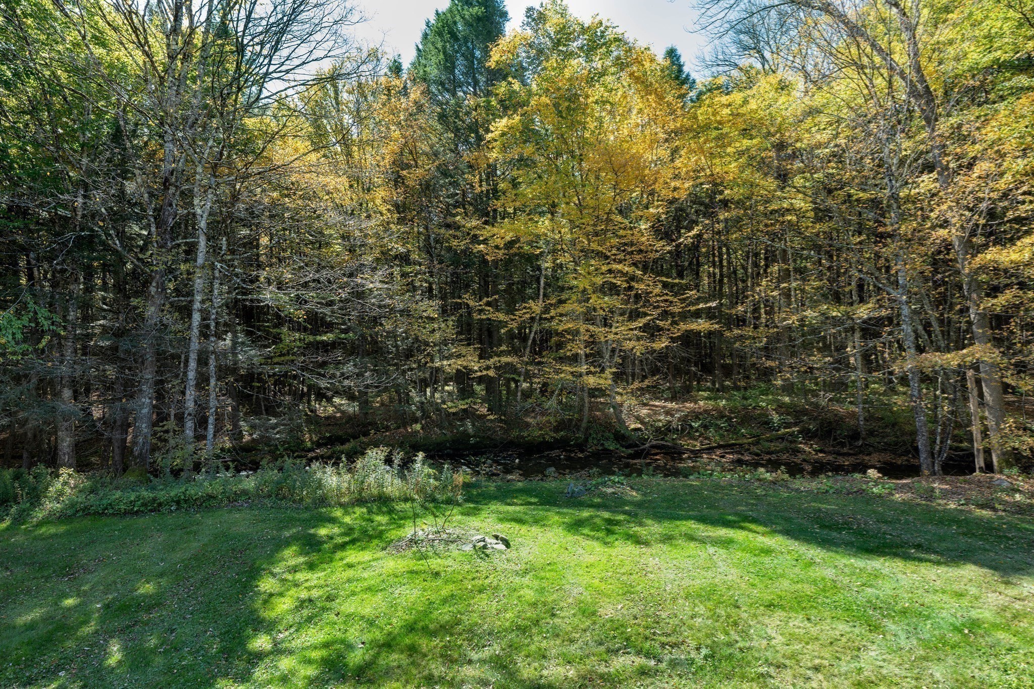 441 Dingle Rd Property Photo 34