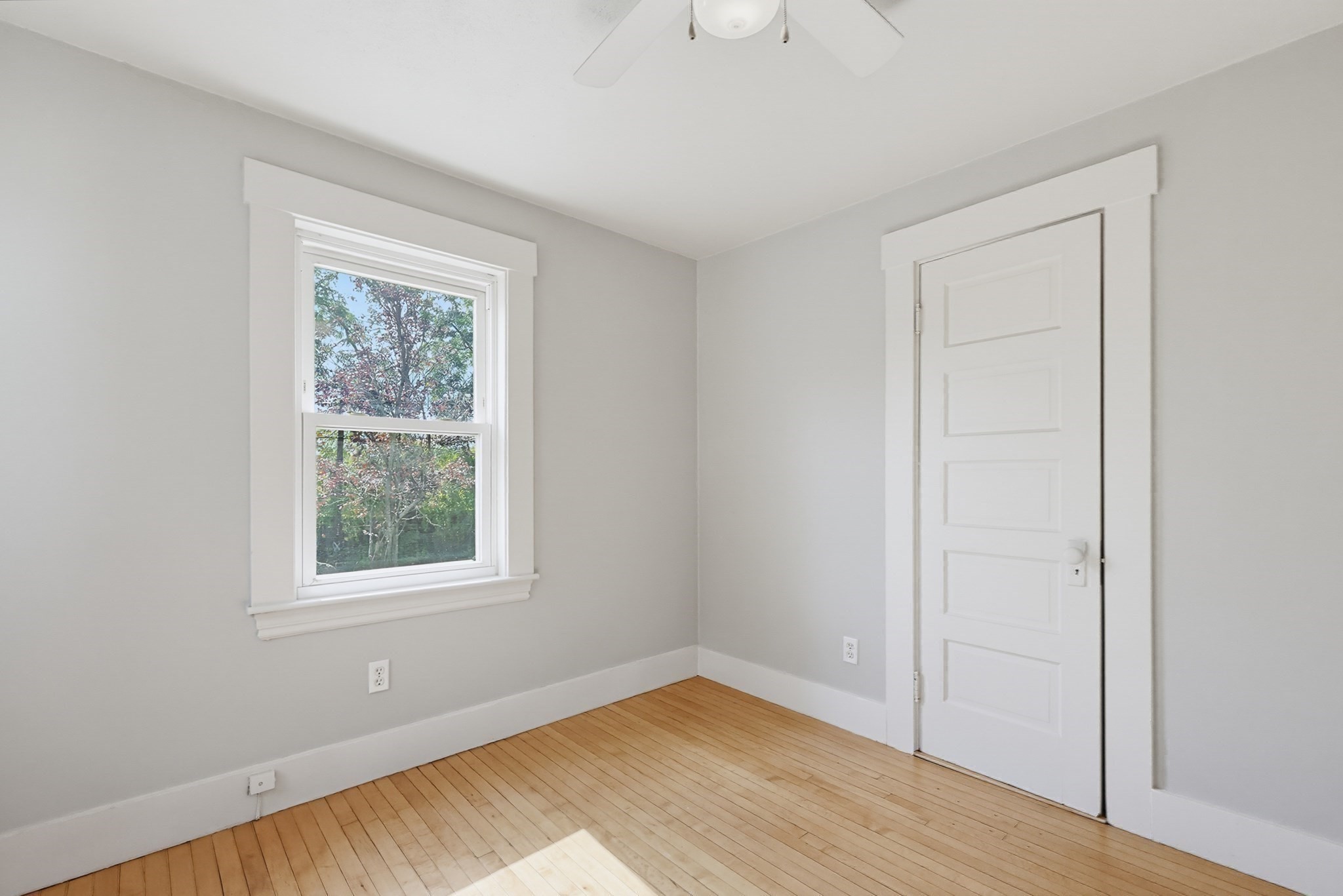 175 Union Street Property Photo 22