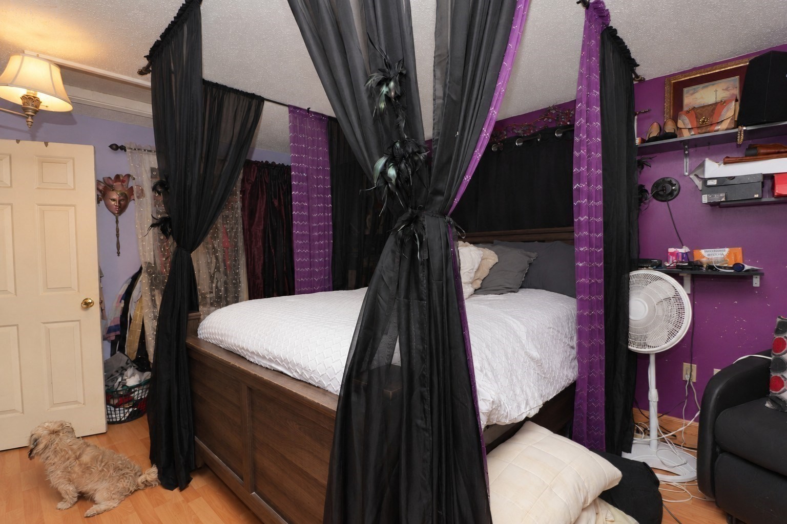 20 Angle St # 10 Property Photo 19