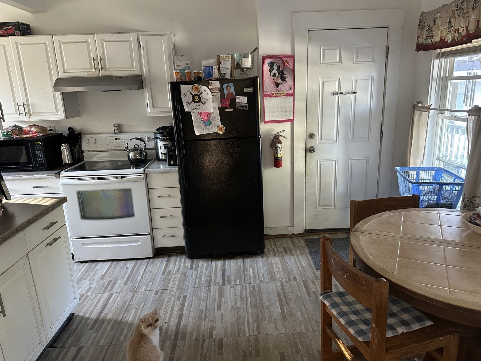 60 Lunenburg St Property Photo 7
