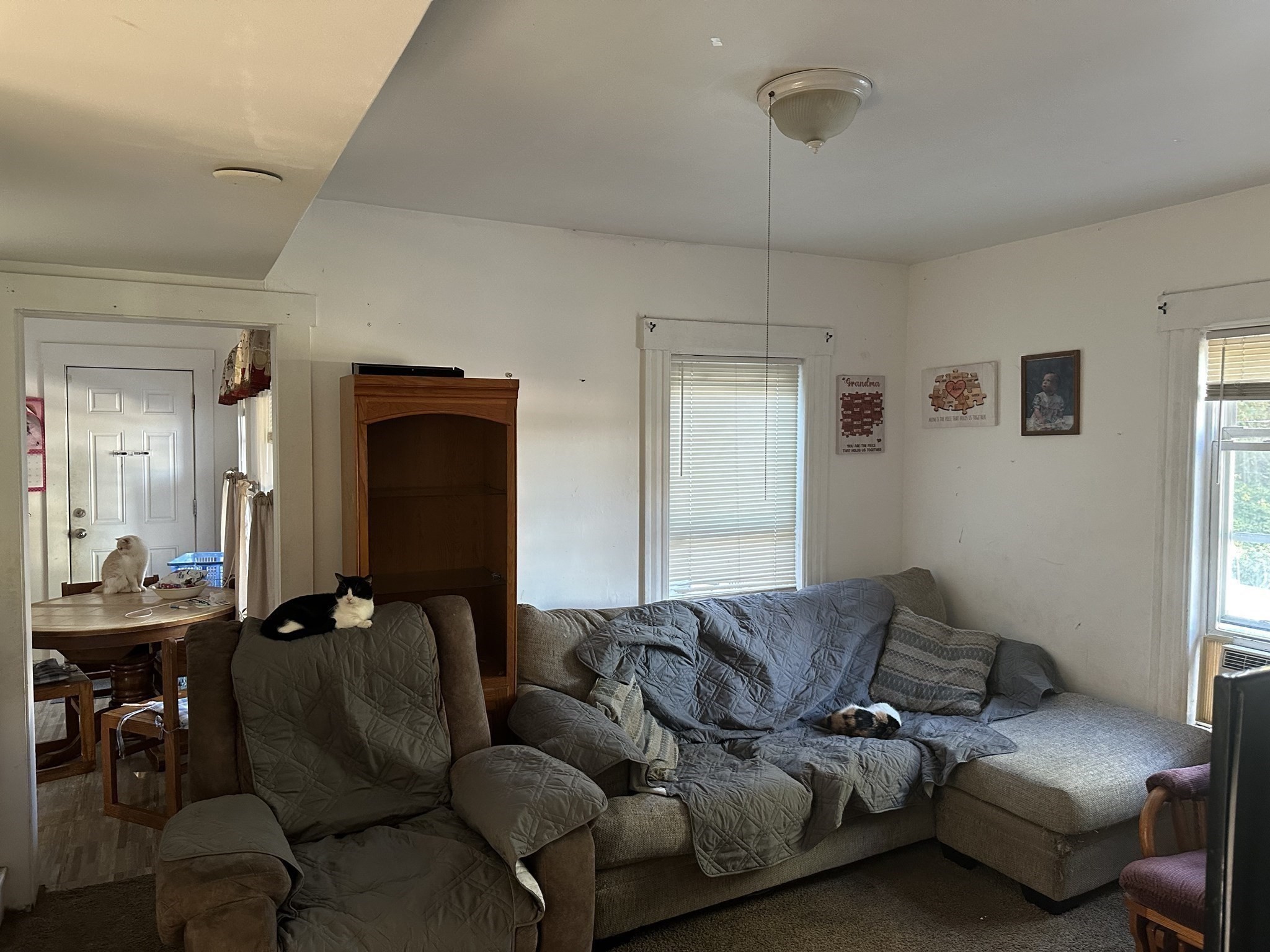60 Lunenburg St Property Photo 10