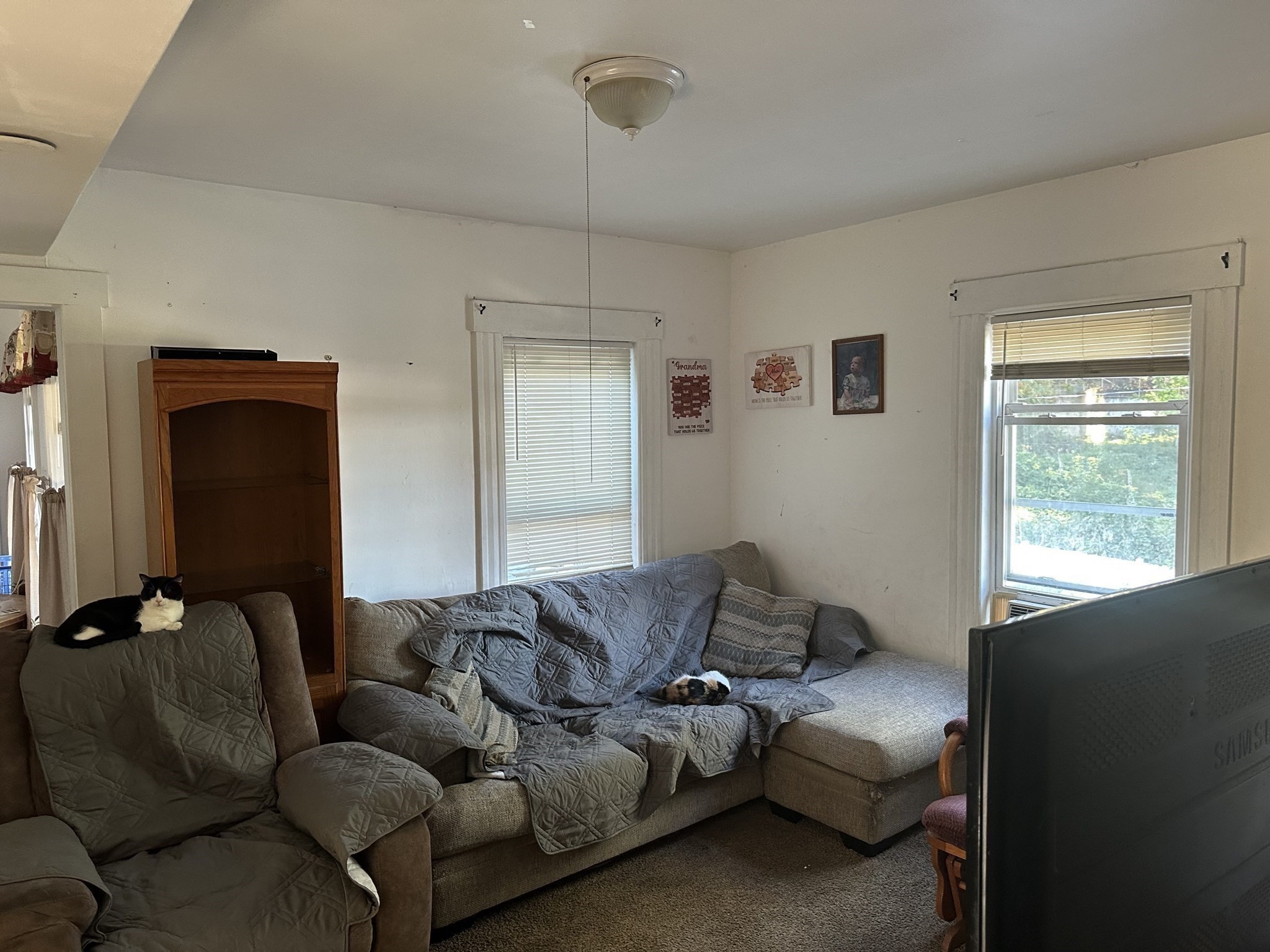 60 Lunenburg St Property Photo 11