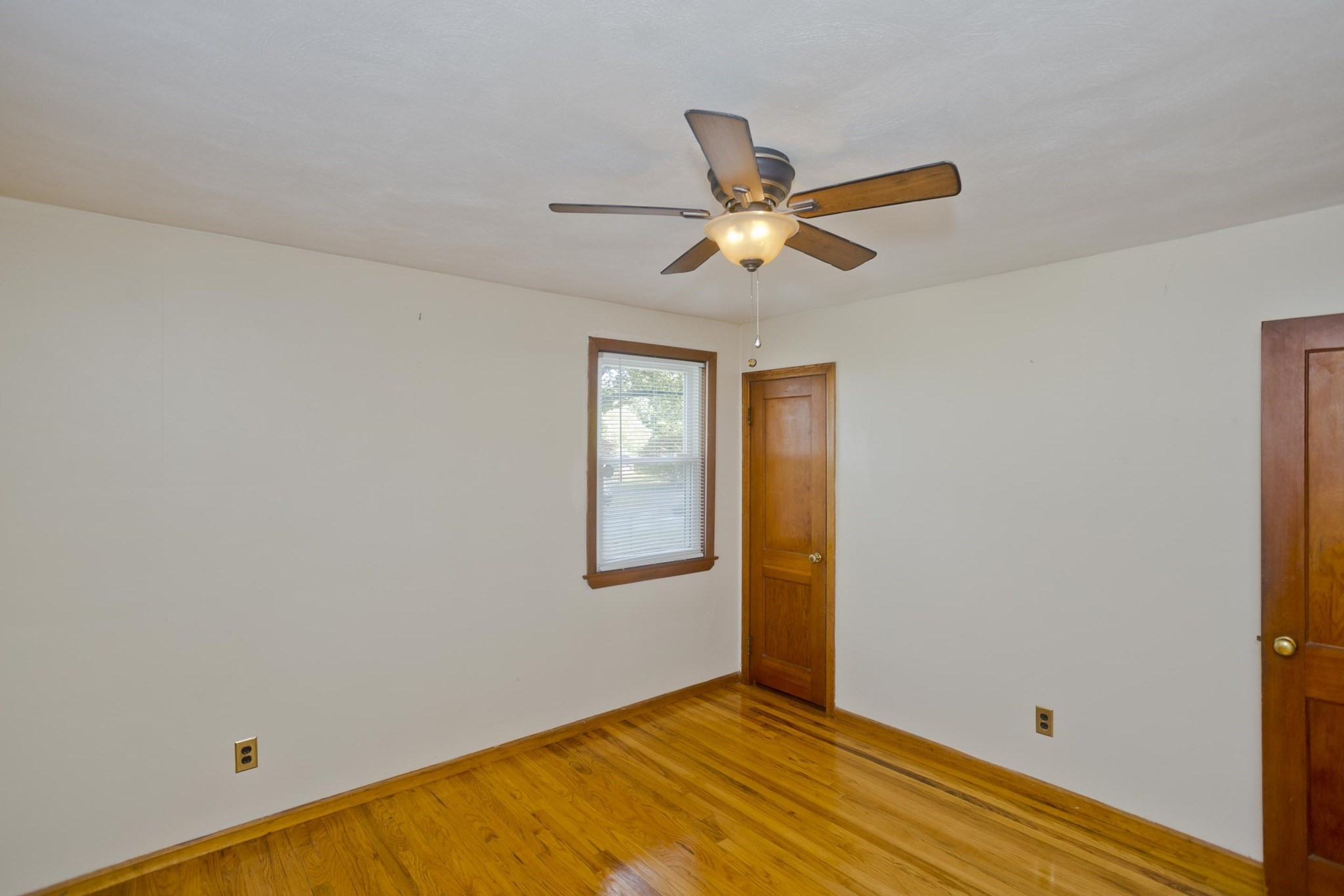 29 Marguerite St Property Photo 12