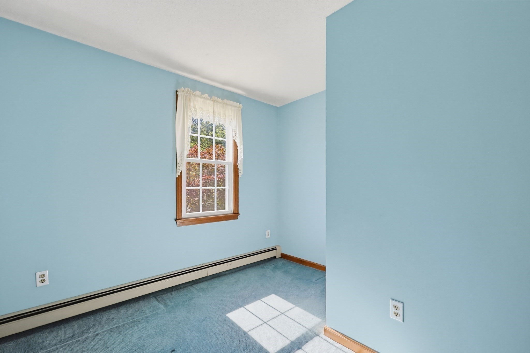39 Janock Rd. Property Photo 29