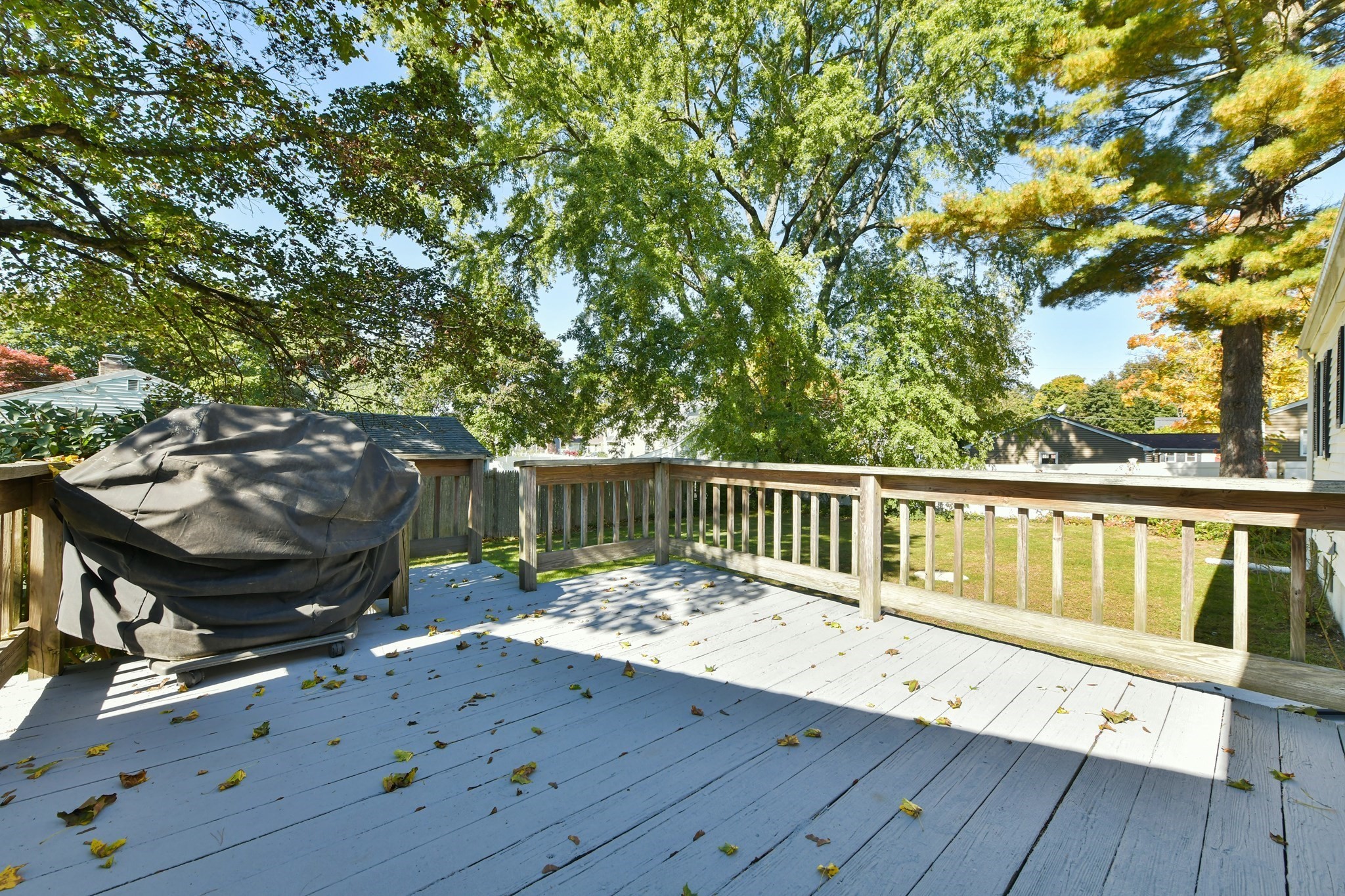 398 South St Property Photo 22
