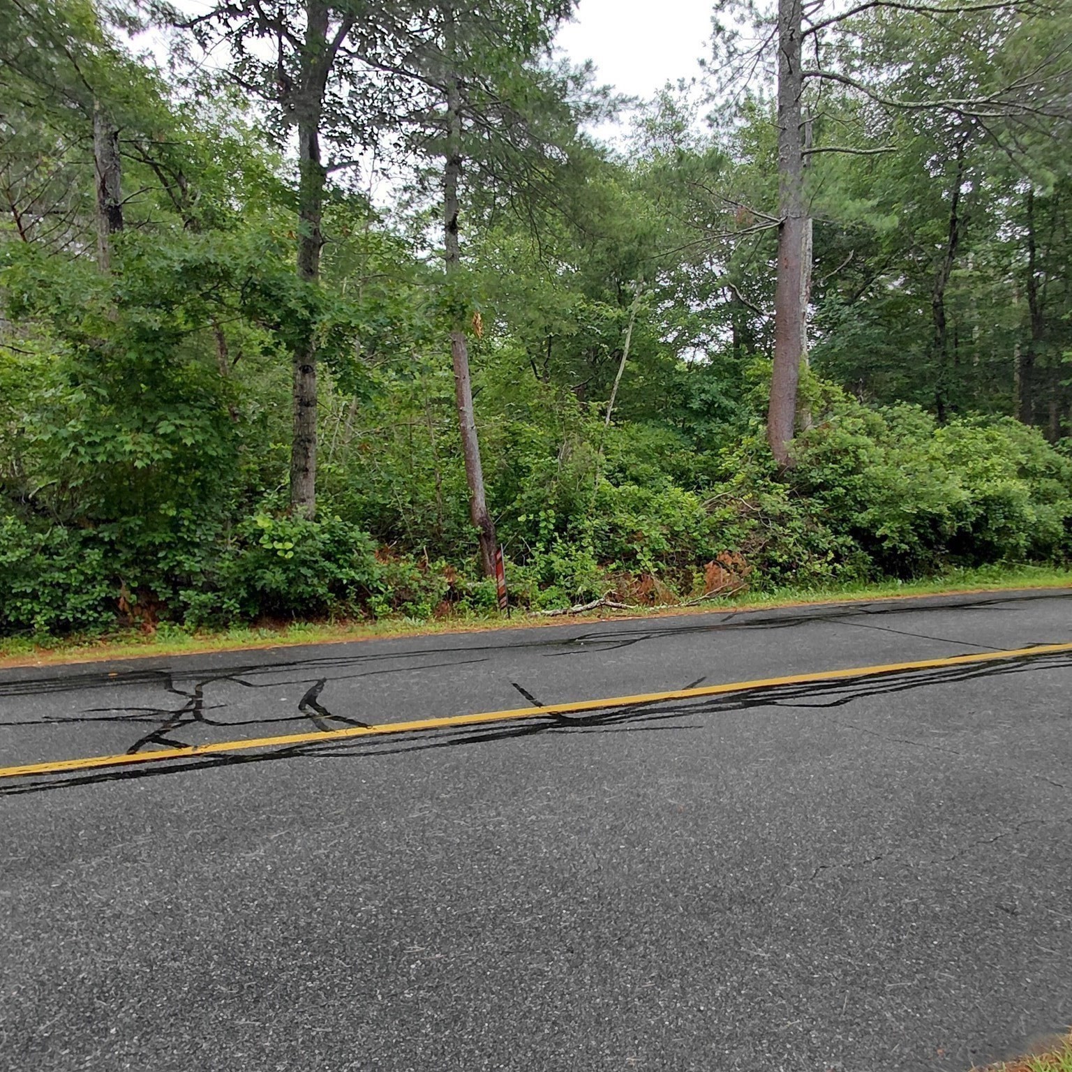 0 Brant Beach Avenue Property Photo 3