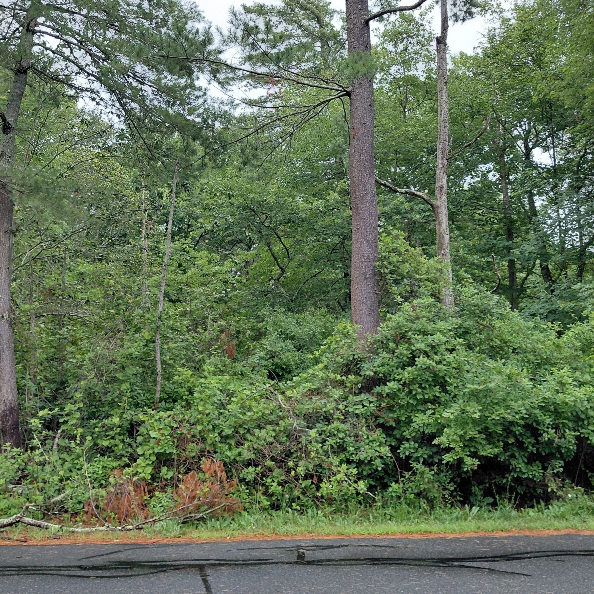 0 Brant Beach Avenue Property Photo 4