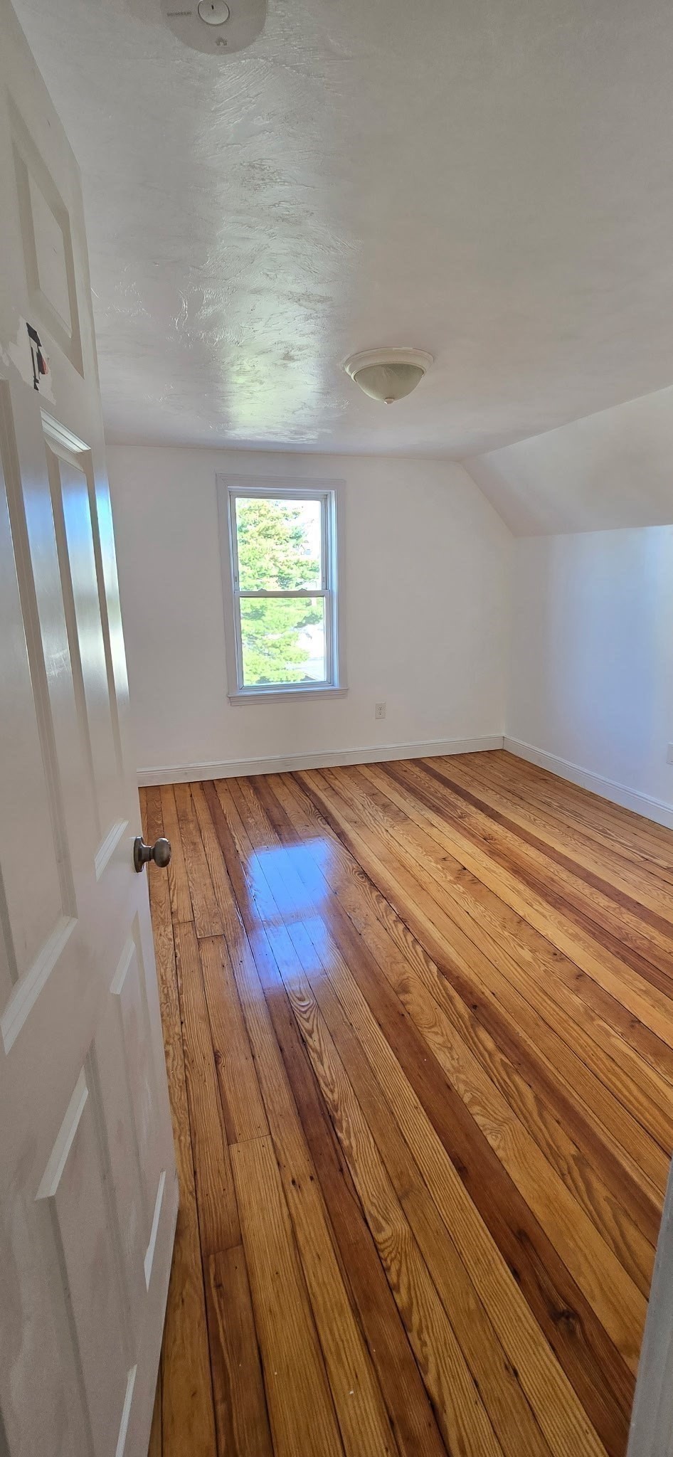 376 Ferry St Property Photo 7