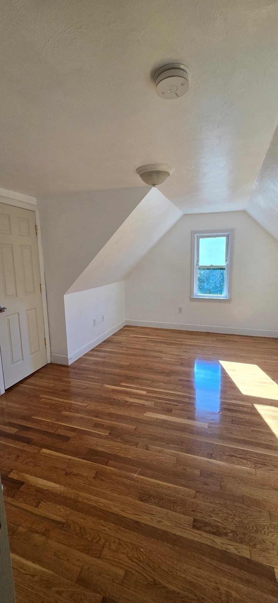 376 Ferry St Property Photo 13
