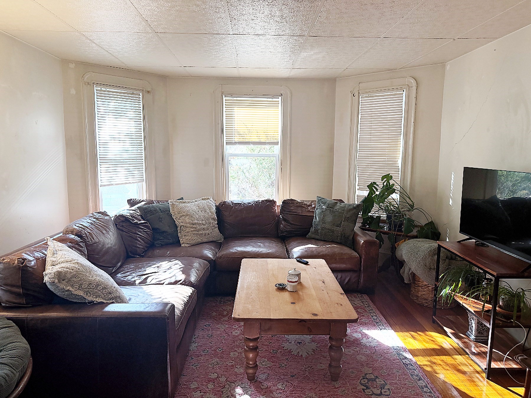 34 Holyoke Road Property Photo 2