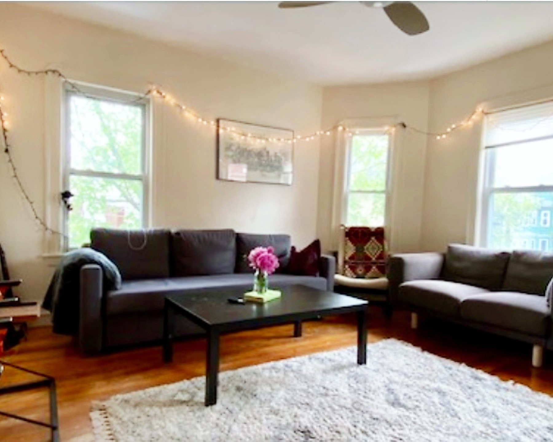 34 Holyoke Road Property Photo 12