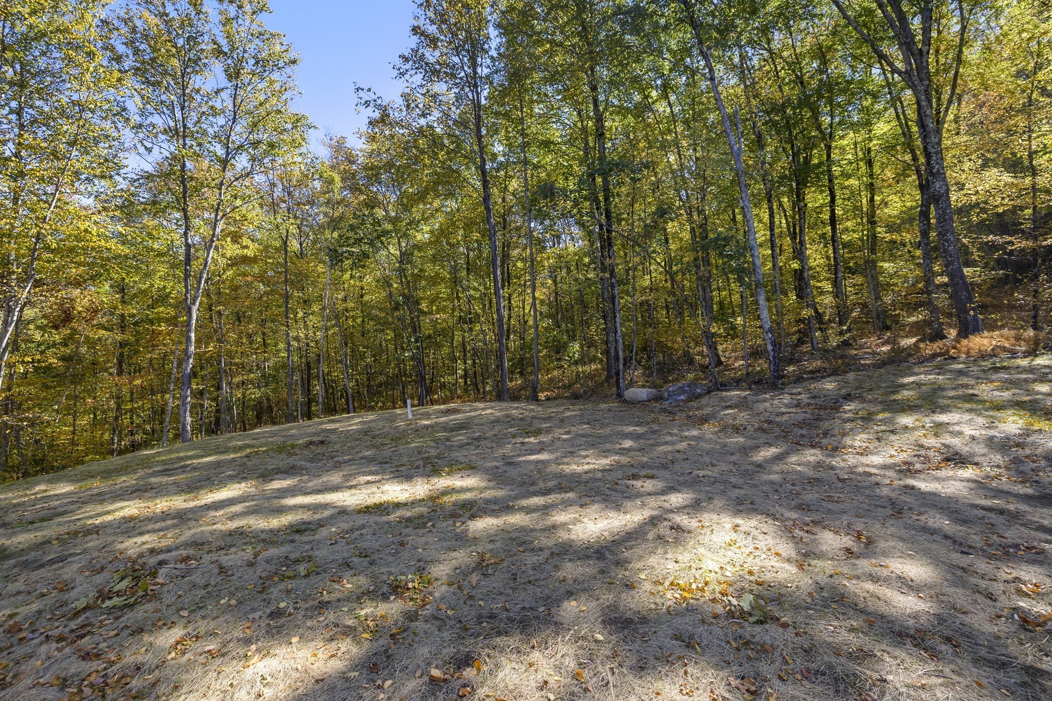 335 Reed Street Property Photo 40