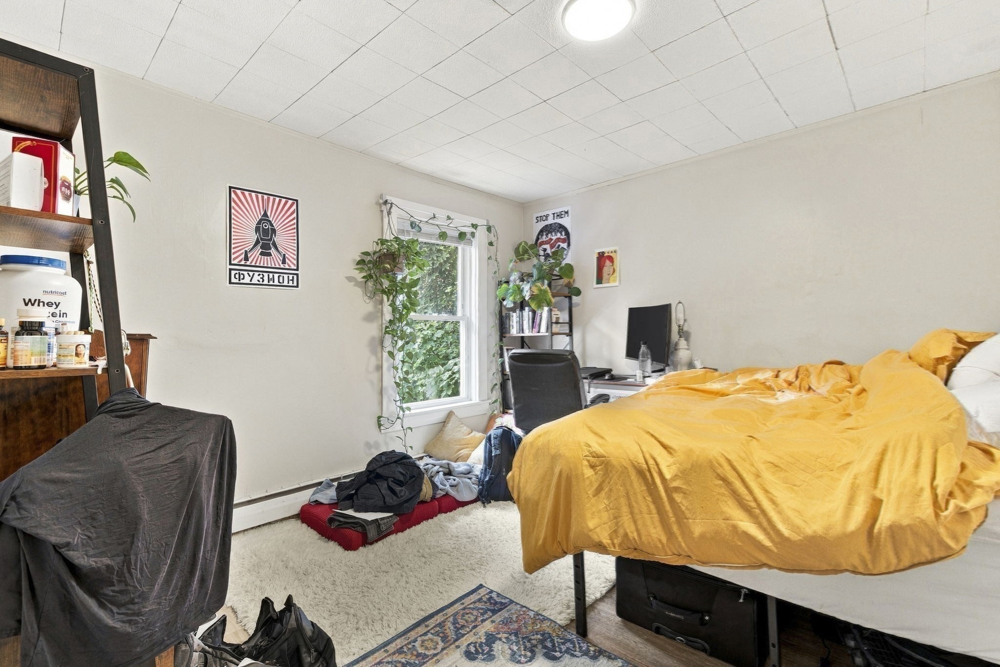 15 Skehan Street Property Photo 15