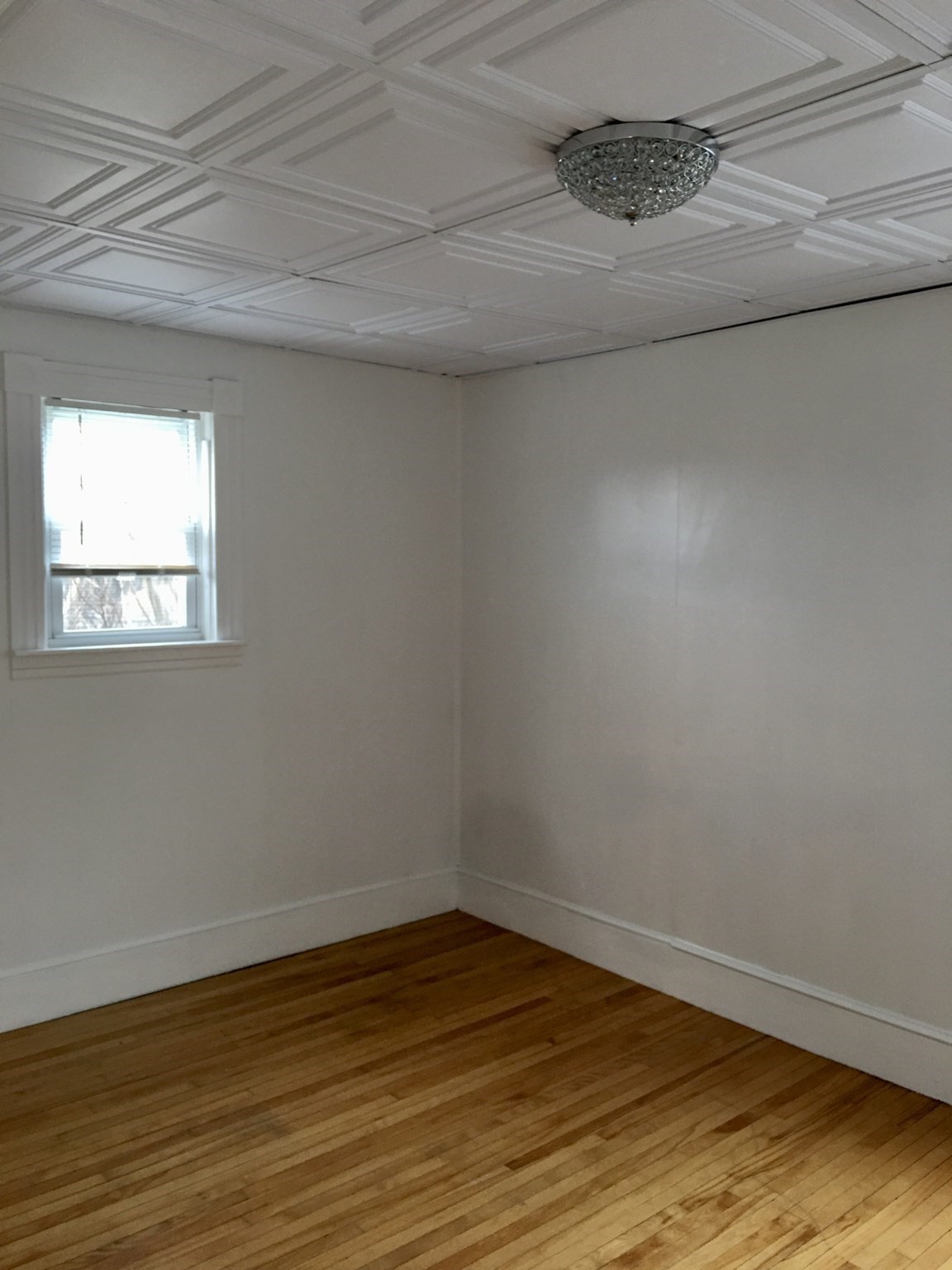 15 Carlstad St Property Photo 16
