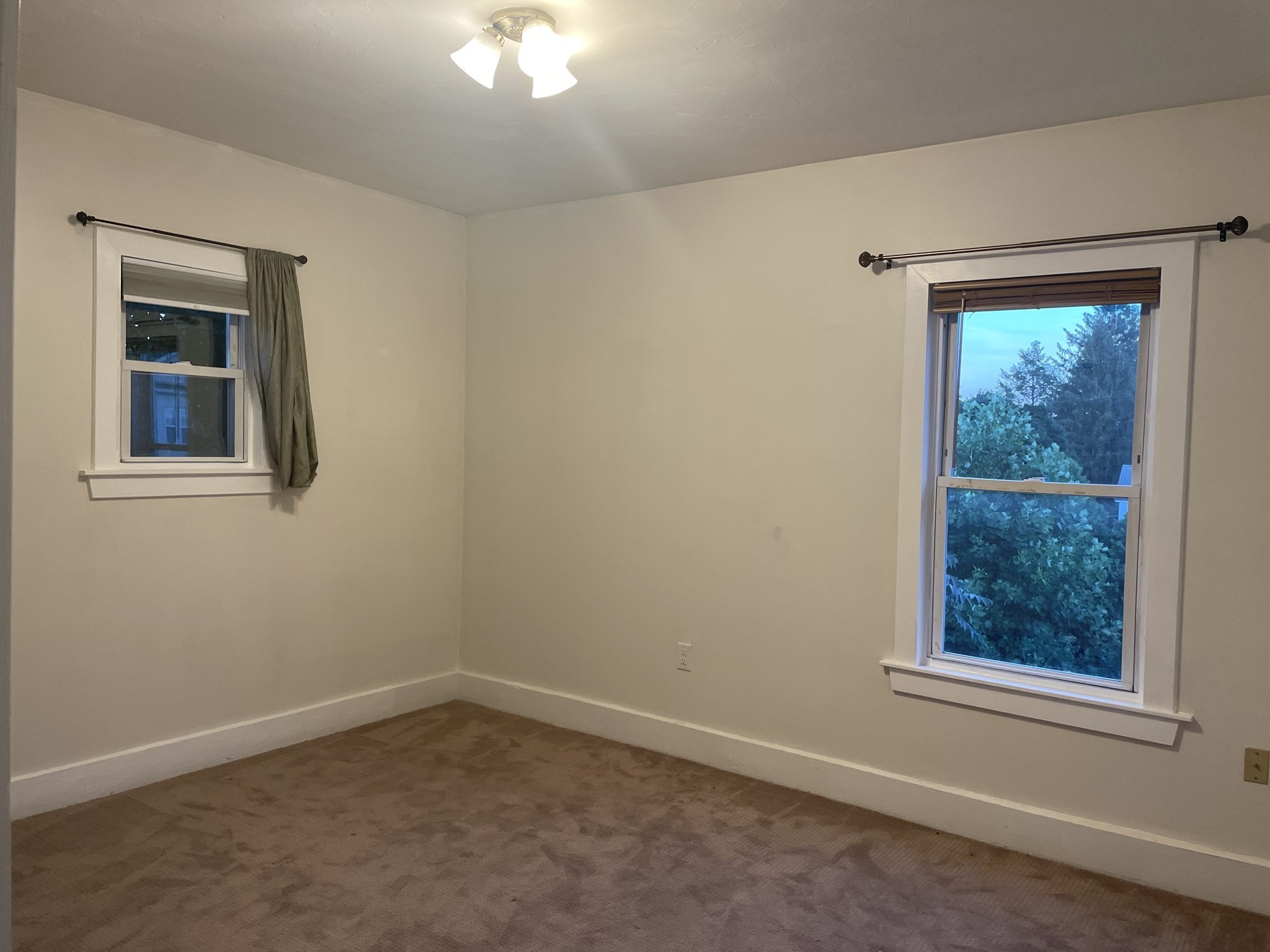 15 Carlstad St Property Photo 18