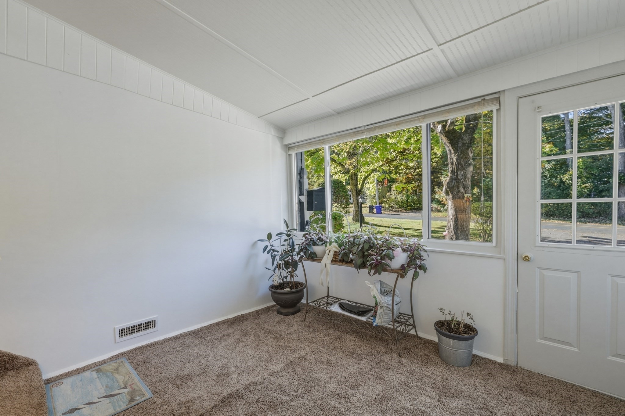 91 Batchelor St Property Photo 22