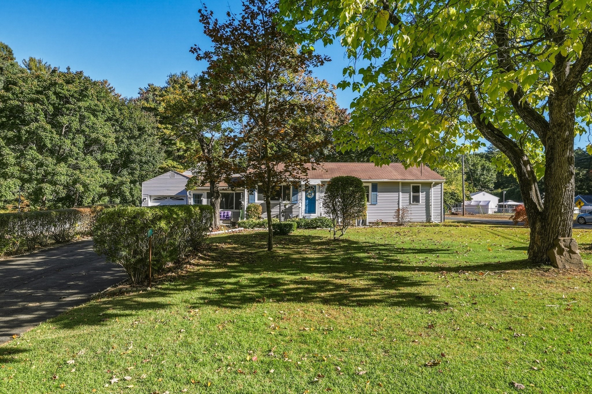91 Batchelor St Property Photo 30