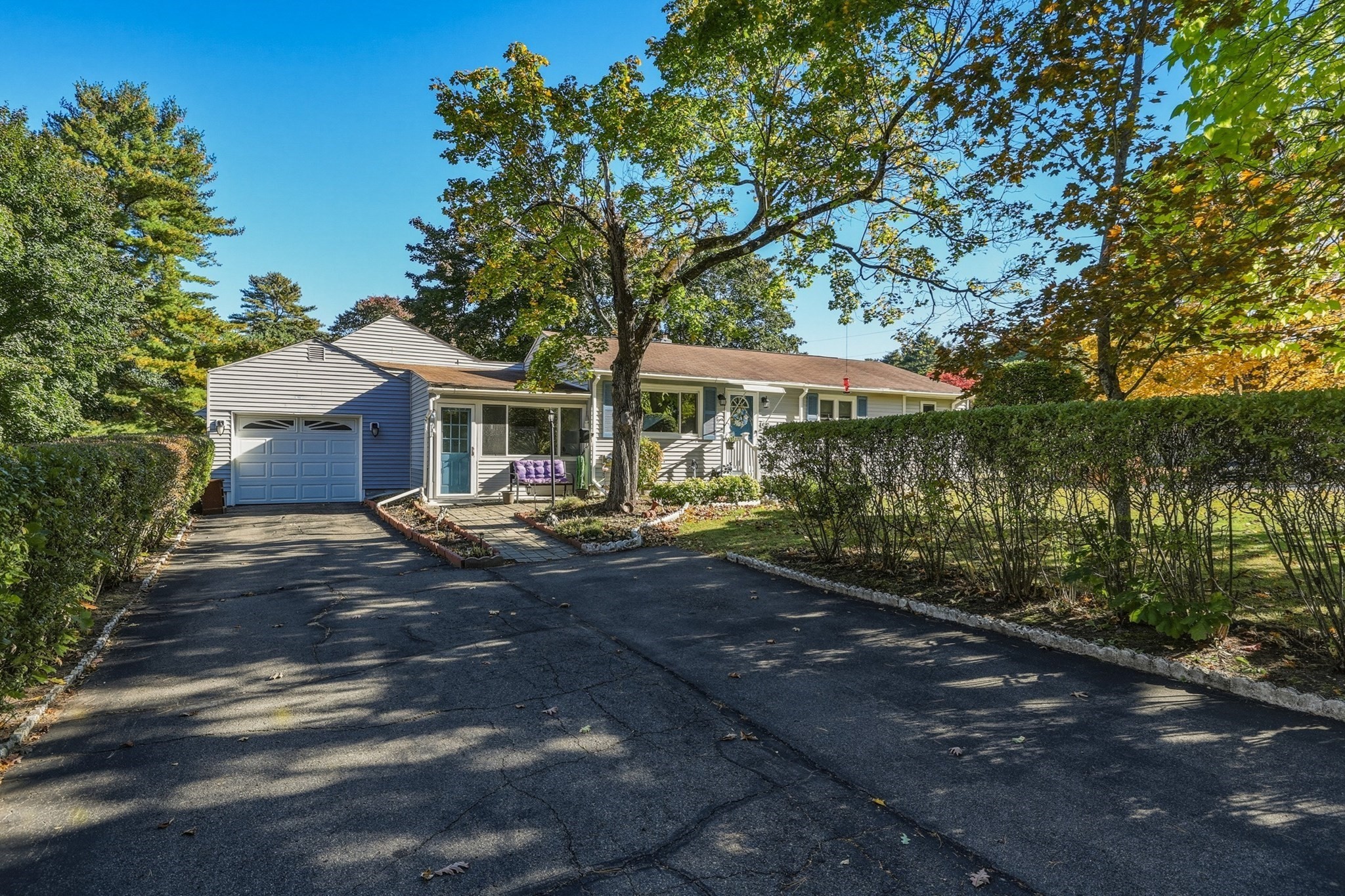 91 Batchelor St Property Photo 35