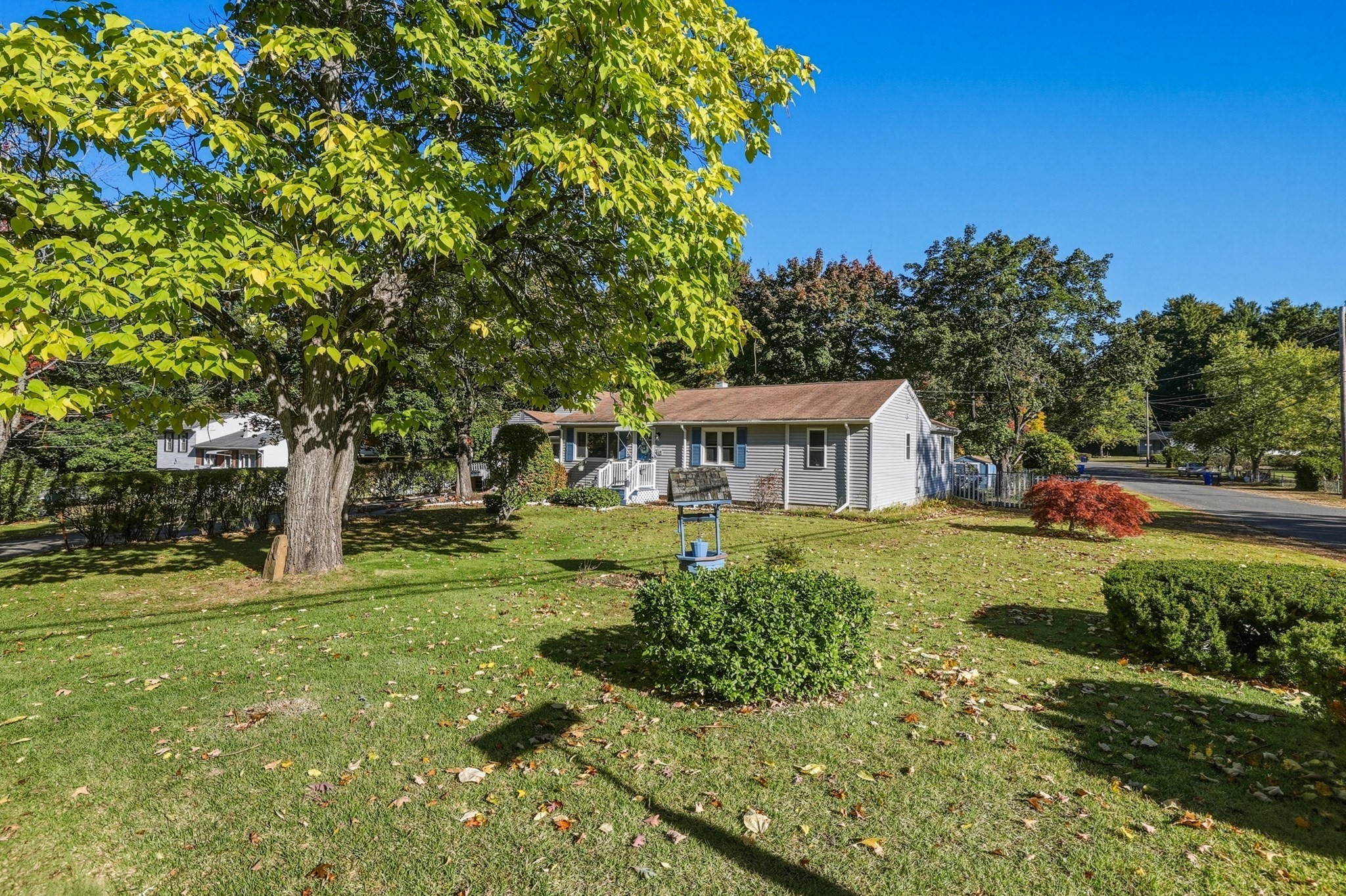 91 Batchelor St Property Photo 36
