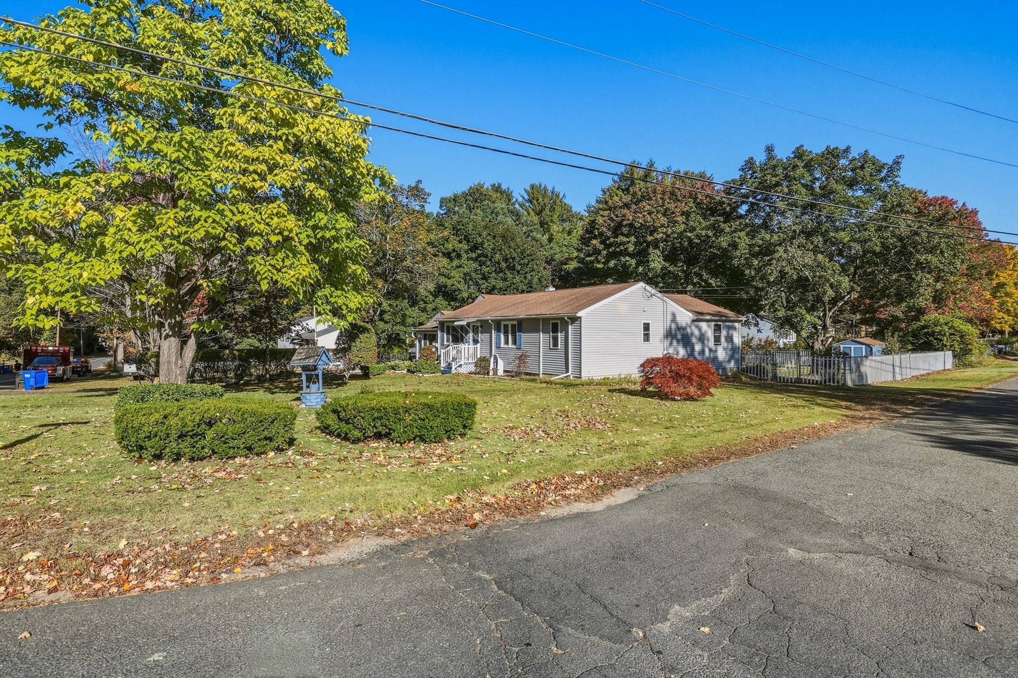 91 Batchelor St Property Photo 37