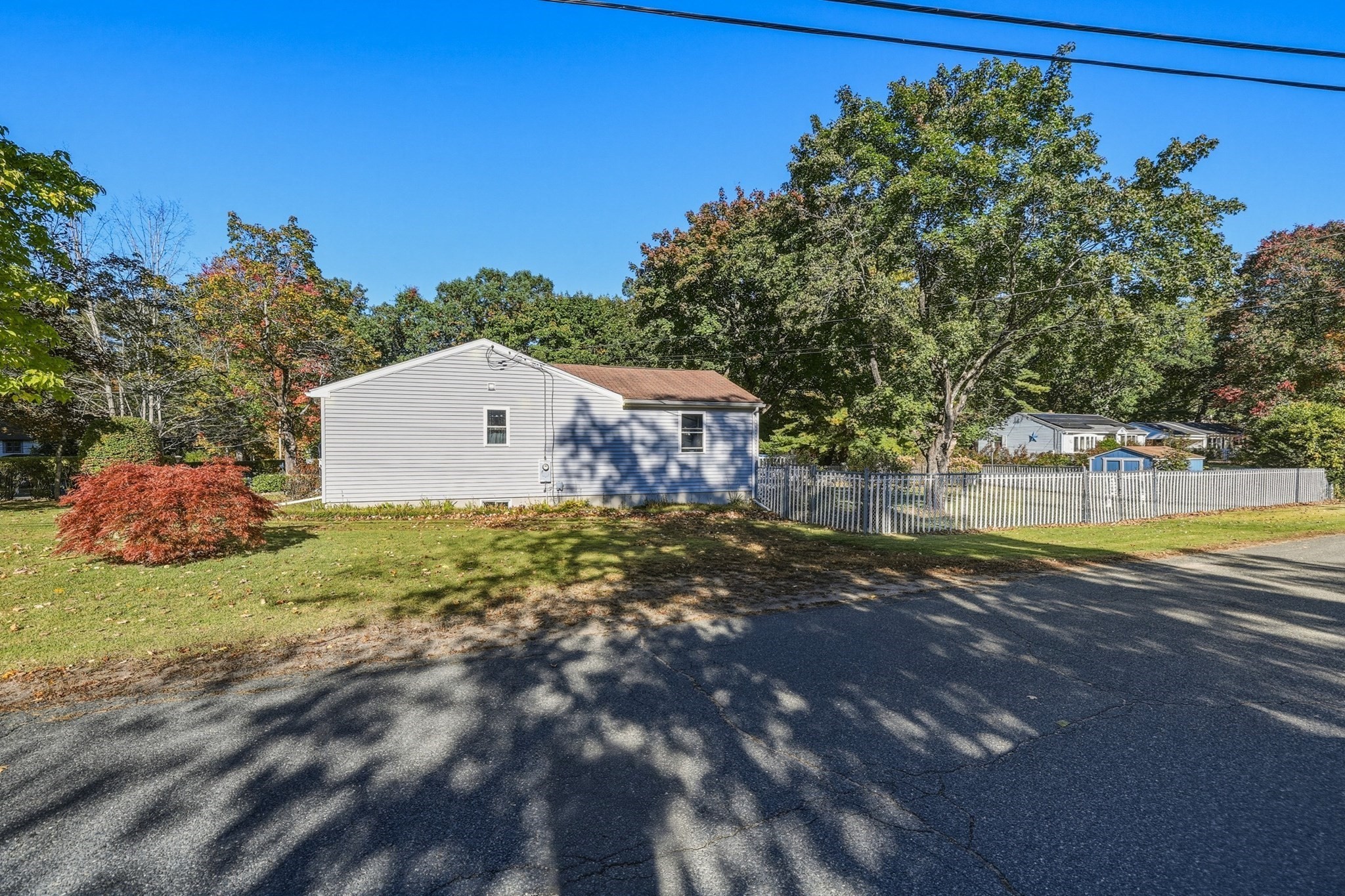 91 Batchelor St Property Photo 38