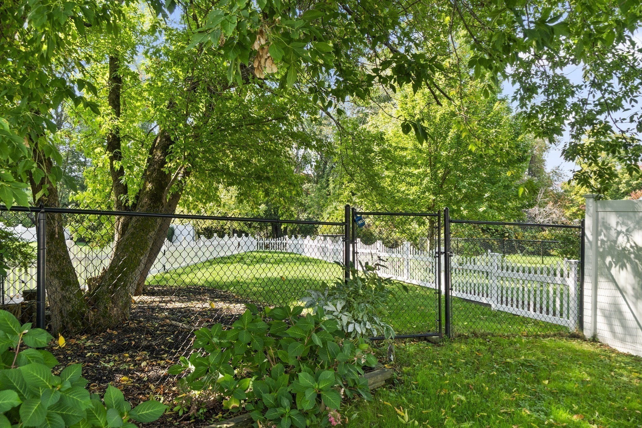 494 Hilldale Avenue # 494 Property Photo 30