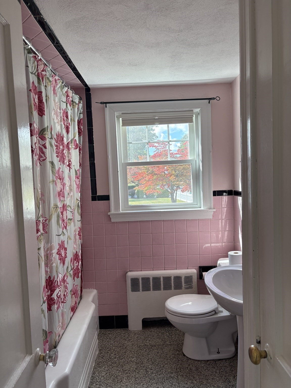 496 Nahatan St Property Photo 10