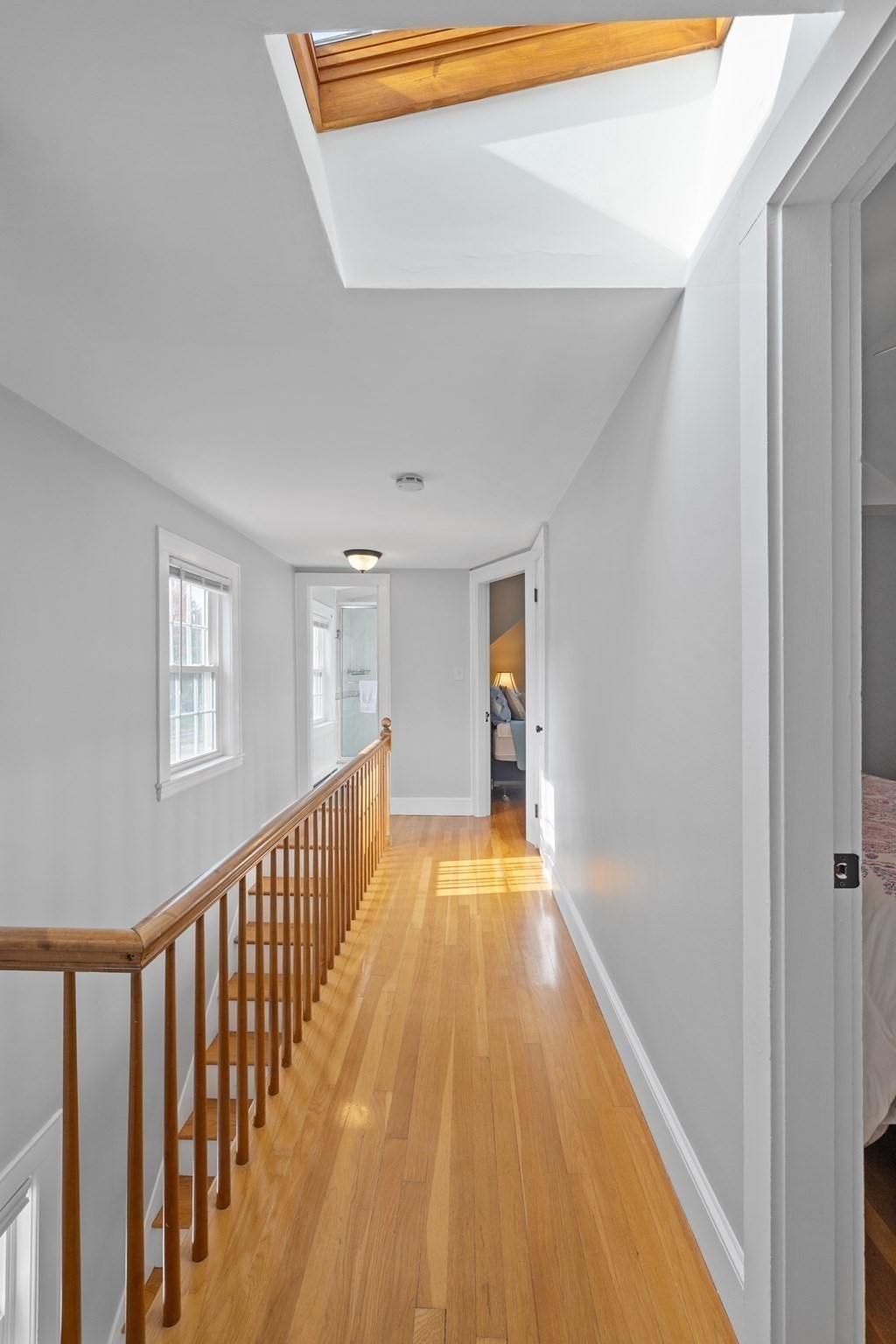 3 Browning Street Property Photo 25
