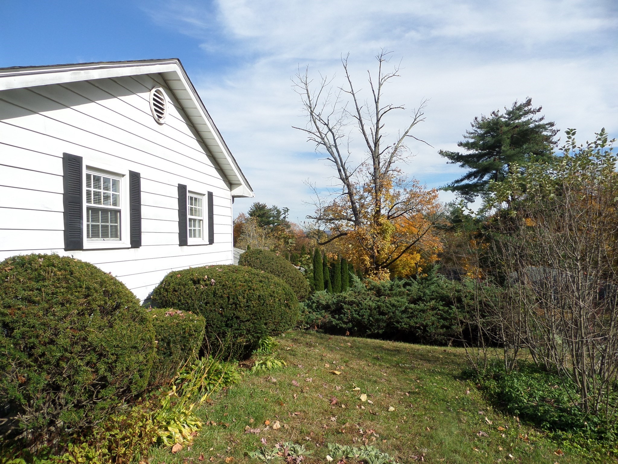 76 Hillview Rd Property Photo 4