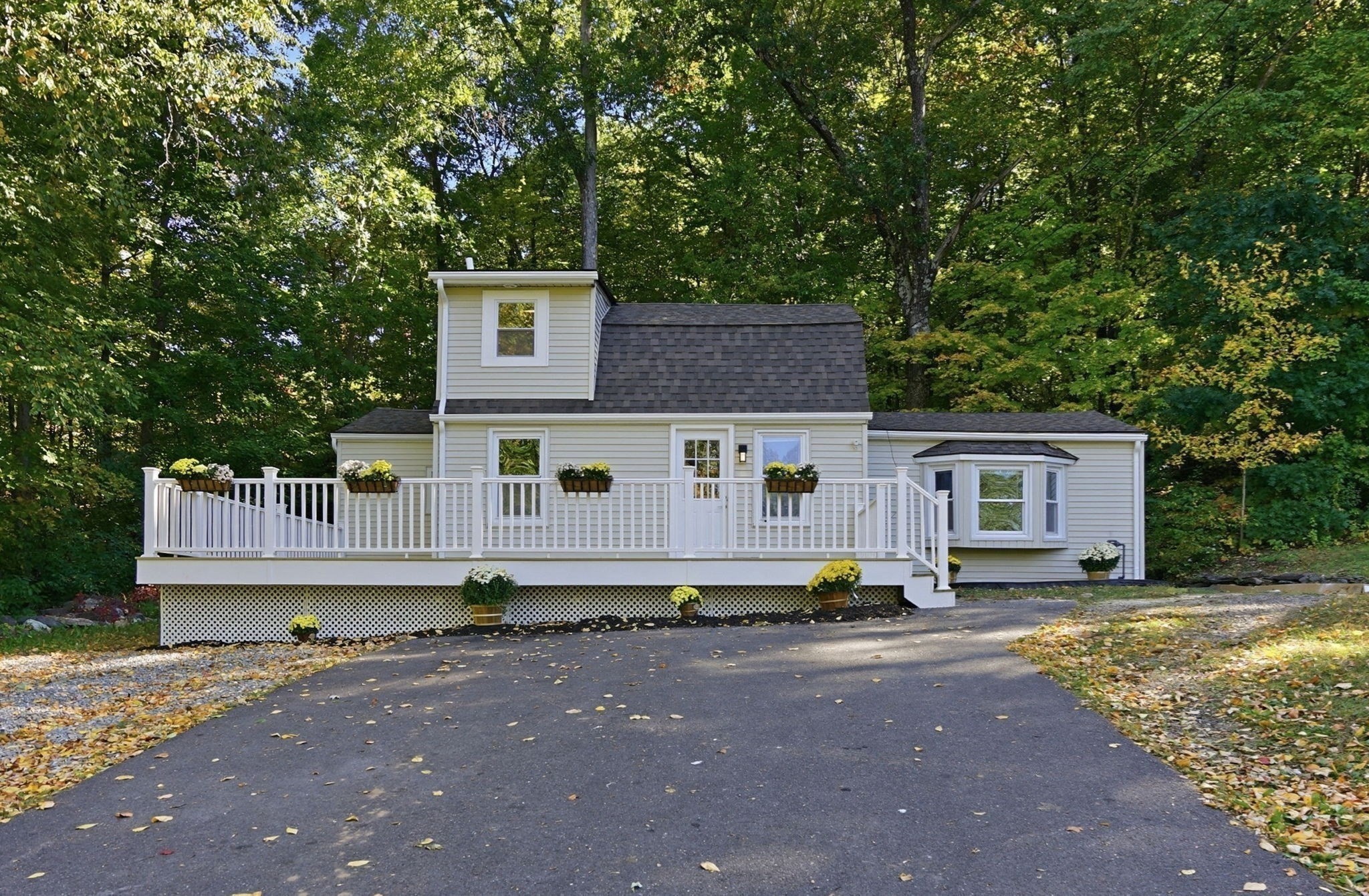338 Wilbraham Rd Property Photo 3