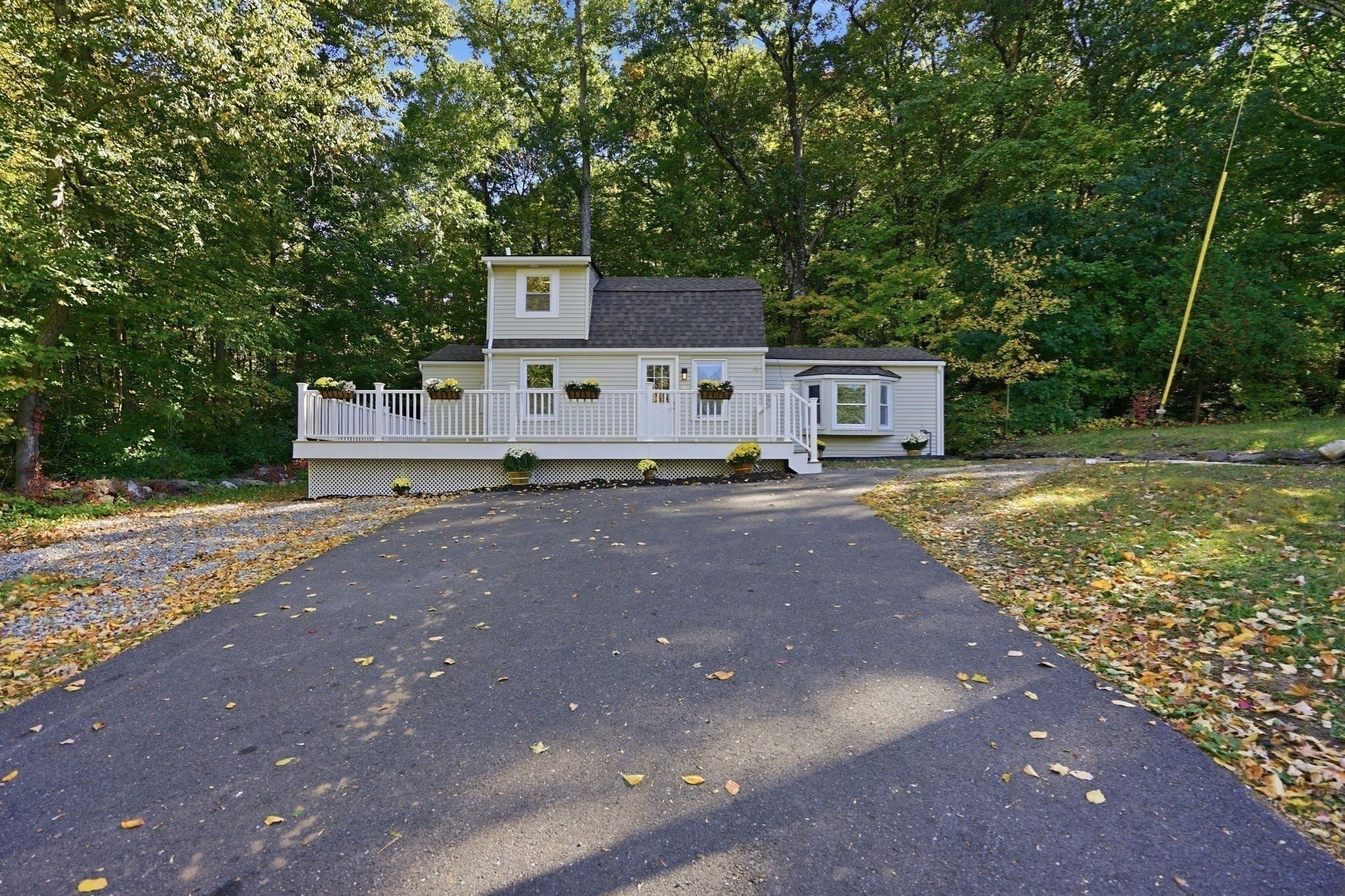 338 Wilbraham Rd Property Photo 4