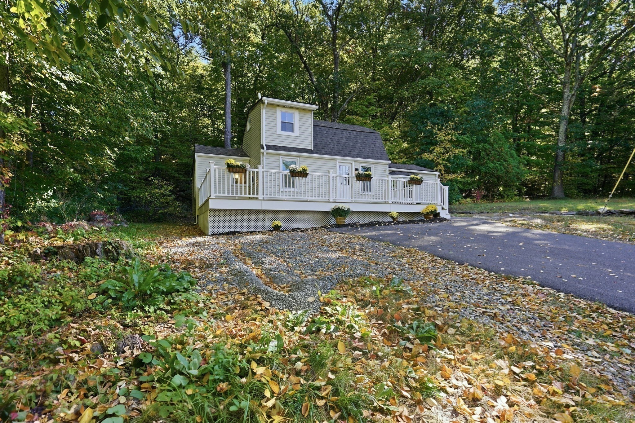 338 Wilbraham Rd Property Photo 6