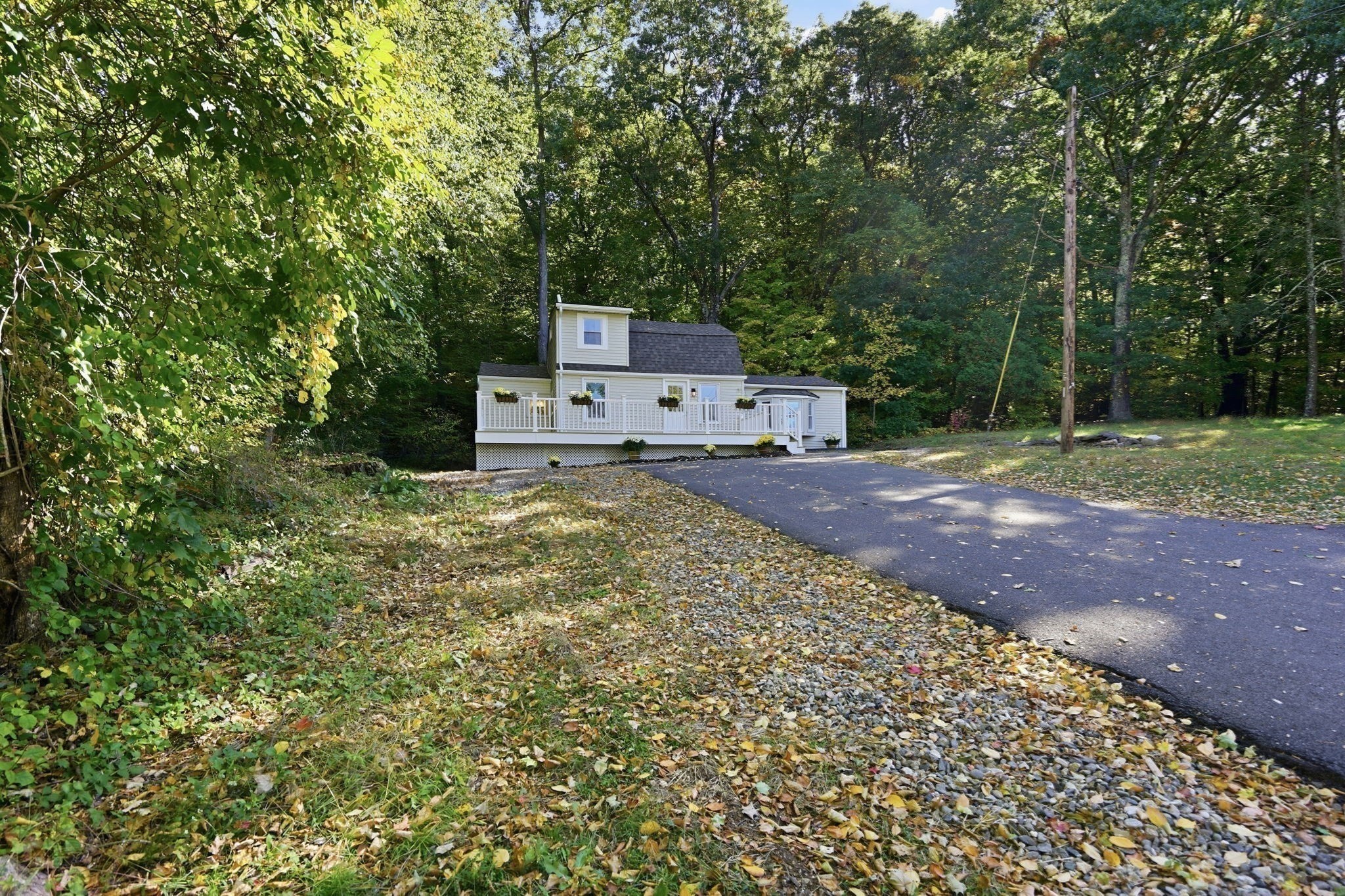 338 Wilbraham Rd Property Photo 7
