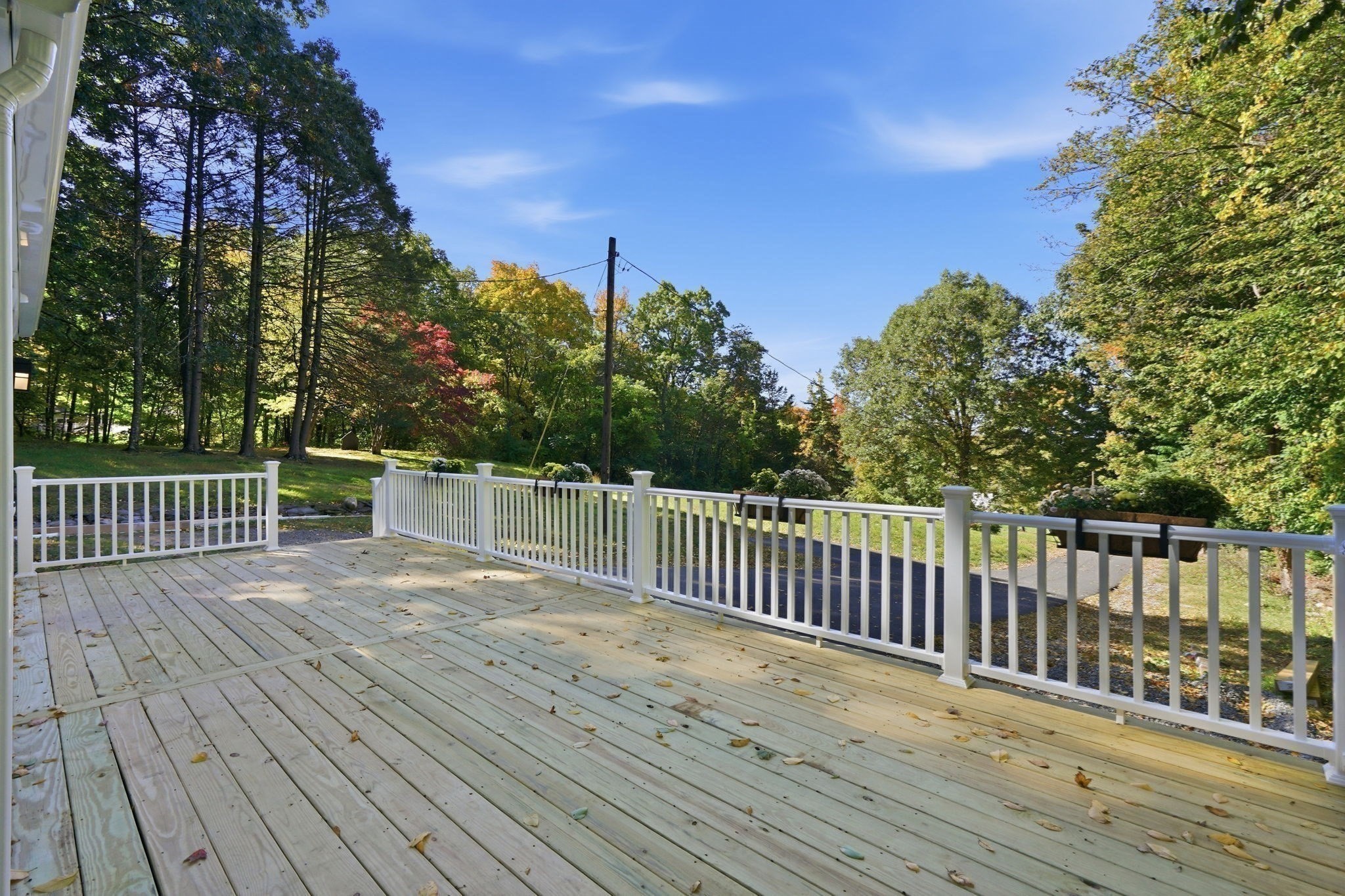 338 Wilbraham Rd Property Photo 10