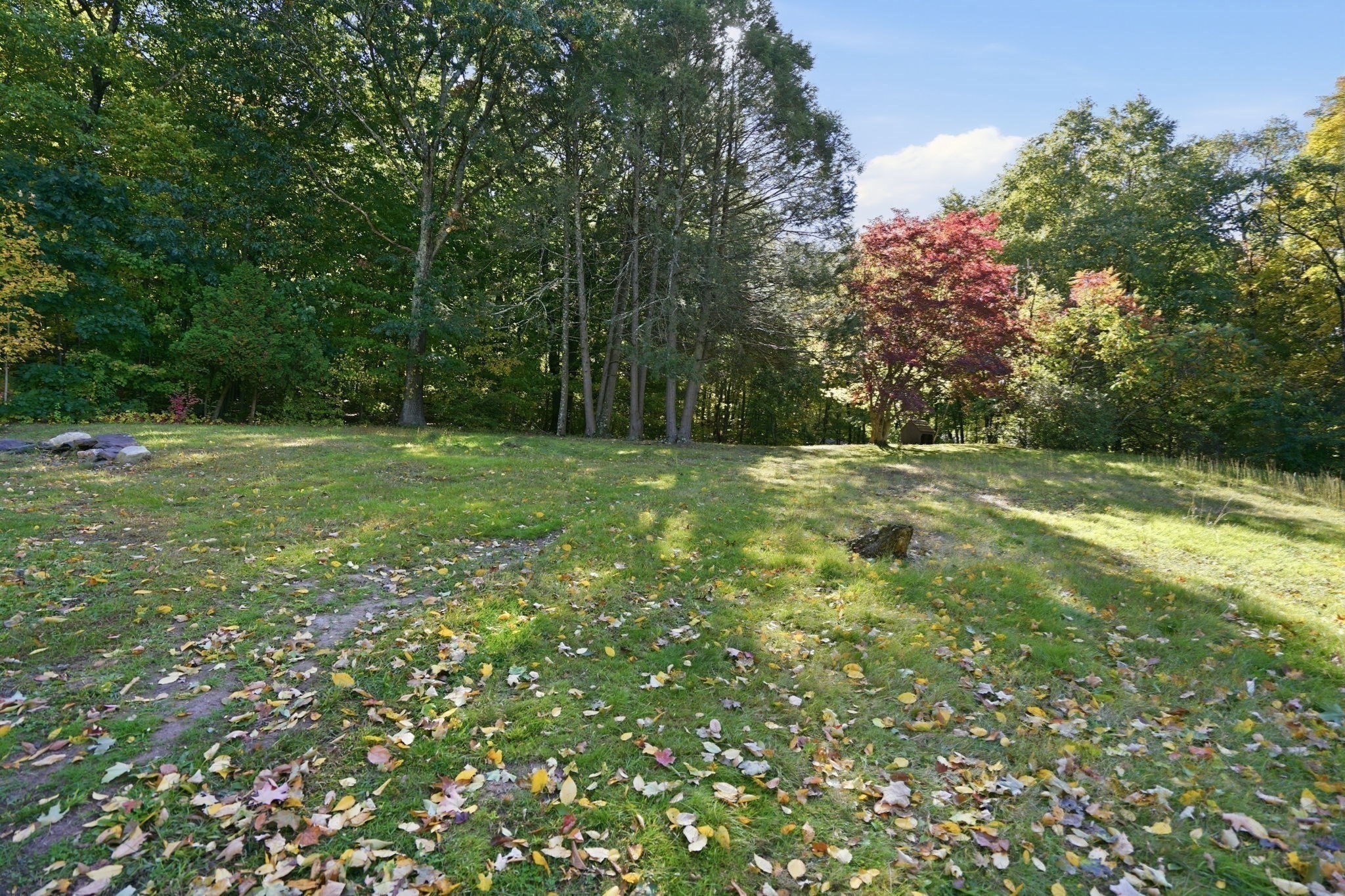 338 Wilbraham Rd Property Photo 11