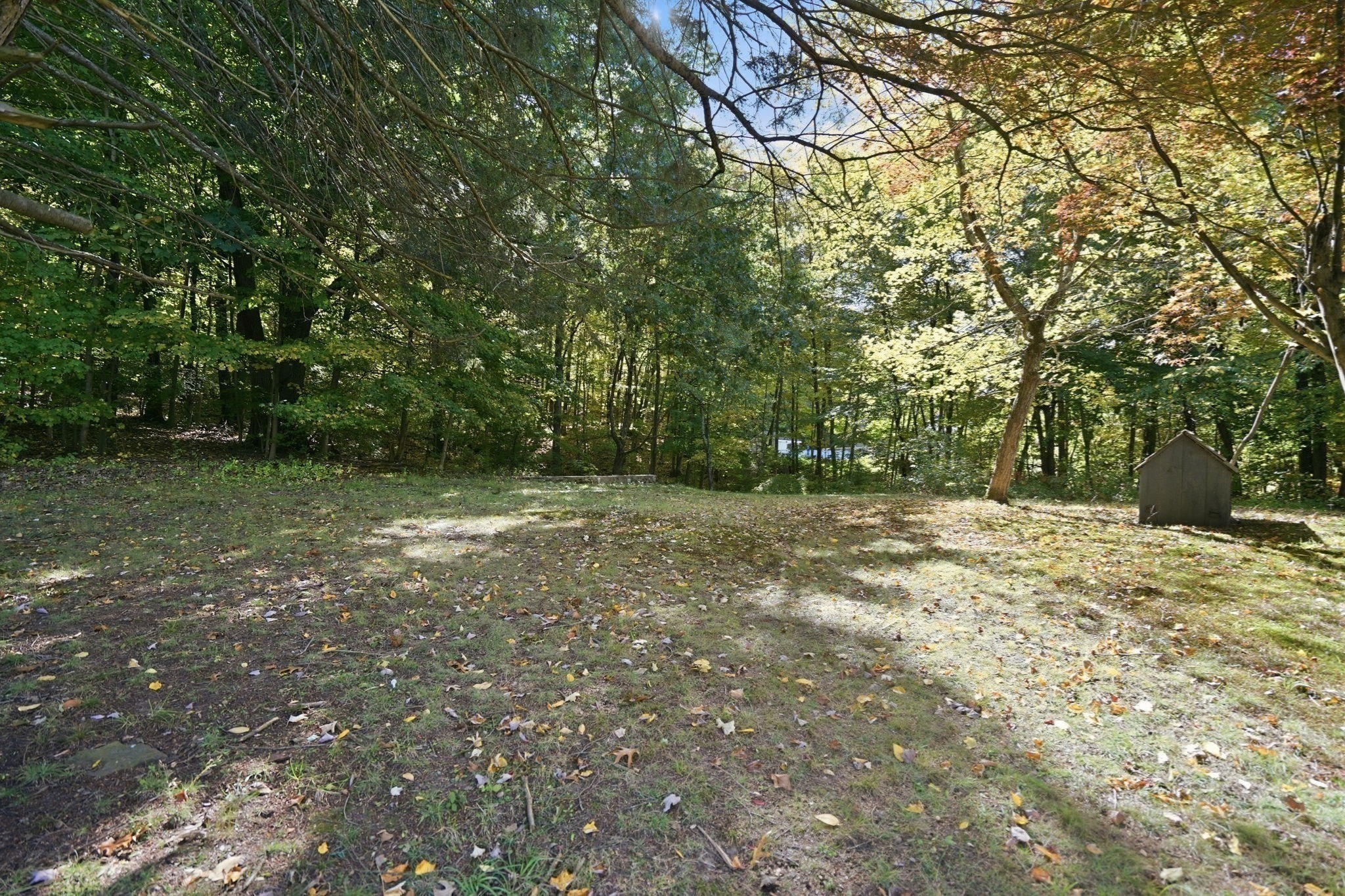 338 Wilbraham Rd Property Photo 12