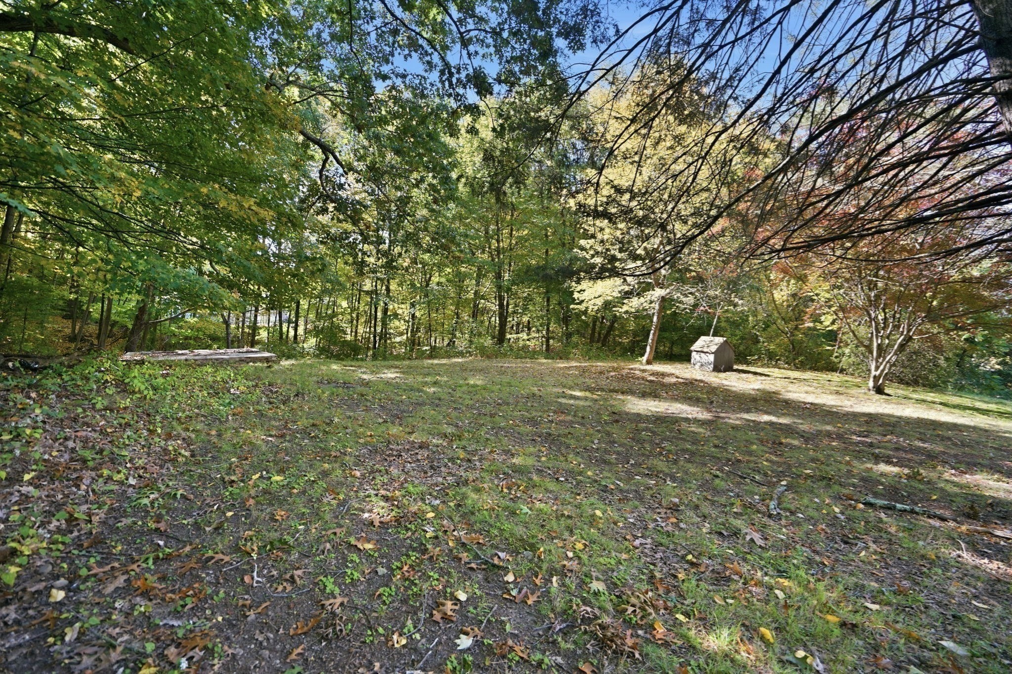 338 Wilbraham Rd Property Photo 13