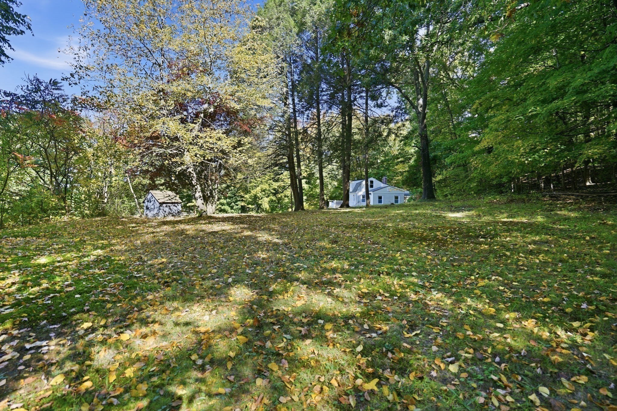 338 Wilbraham Rd Property Photo 15
